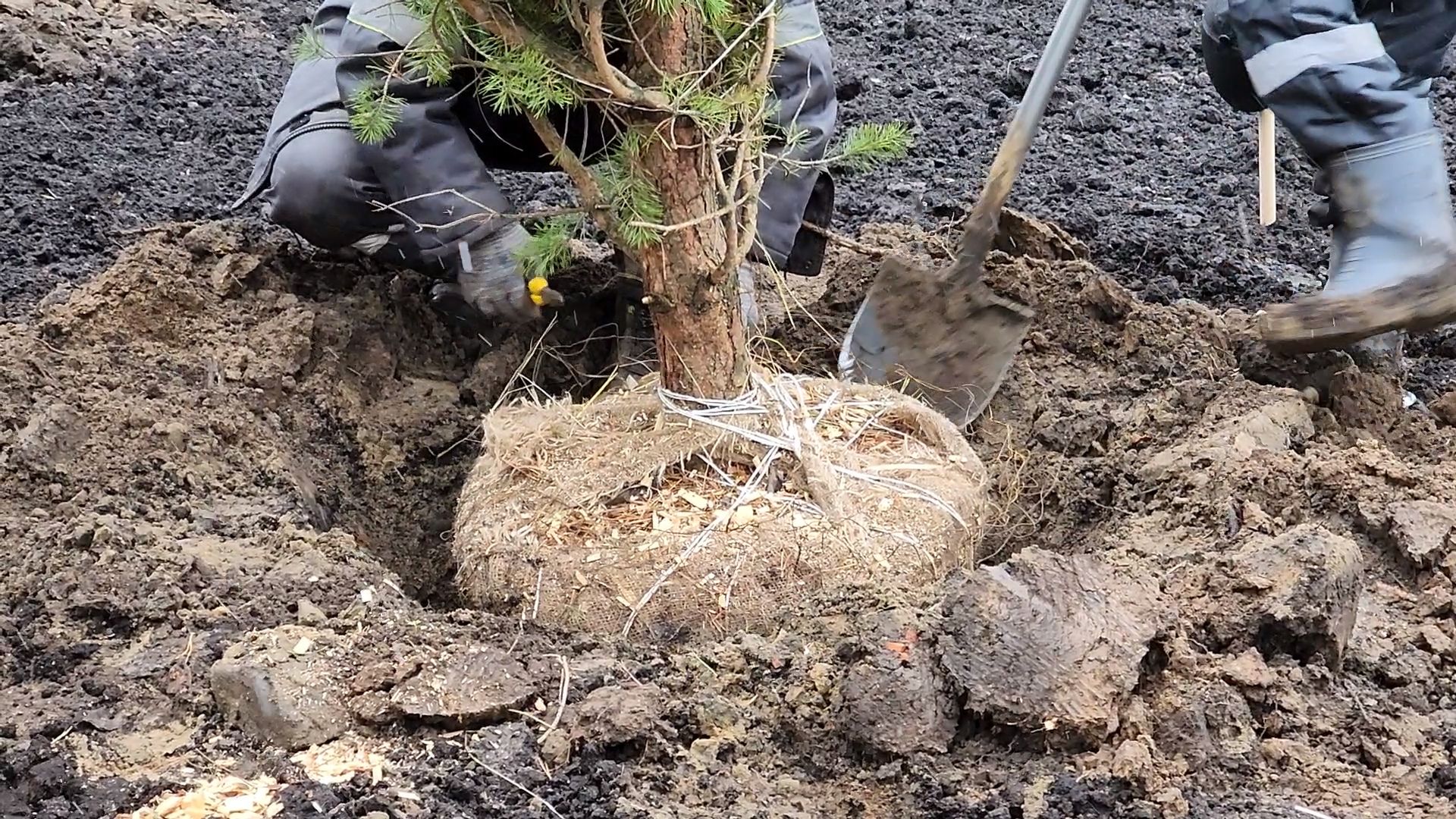 одинцово, благоустройство, формирование комфортной городской среды, улица, реконструкция, сквер,