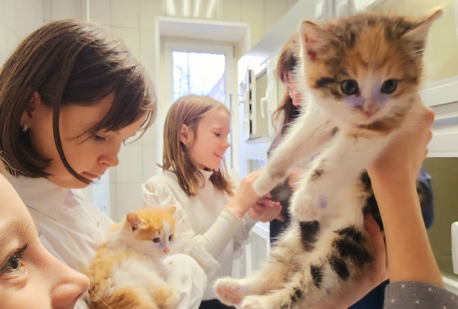 домодедово, подмосковье, Урок доброты, вет станция, ветеринарная станция, ТВУ 5, Госветслужба, Бездомные животные, лечение животных, домашние животные, ветеринарная клиника, лечение бешенства, профилактика бешенства, ветеринария, пушистый пациент, Уроки доброты,