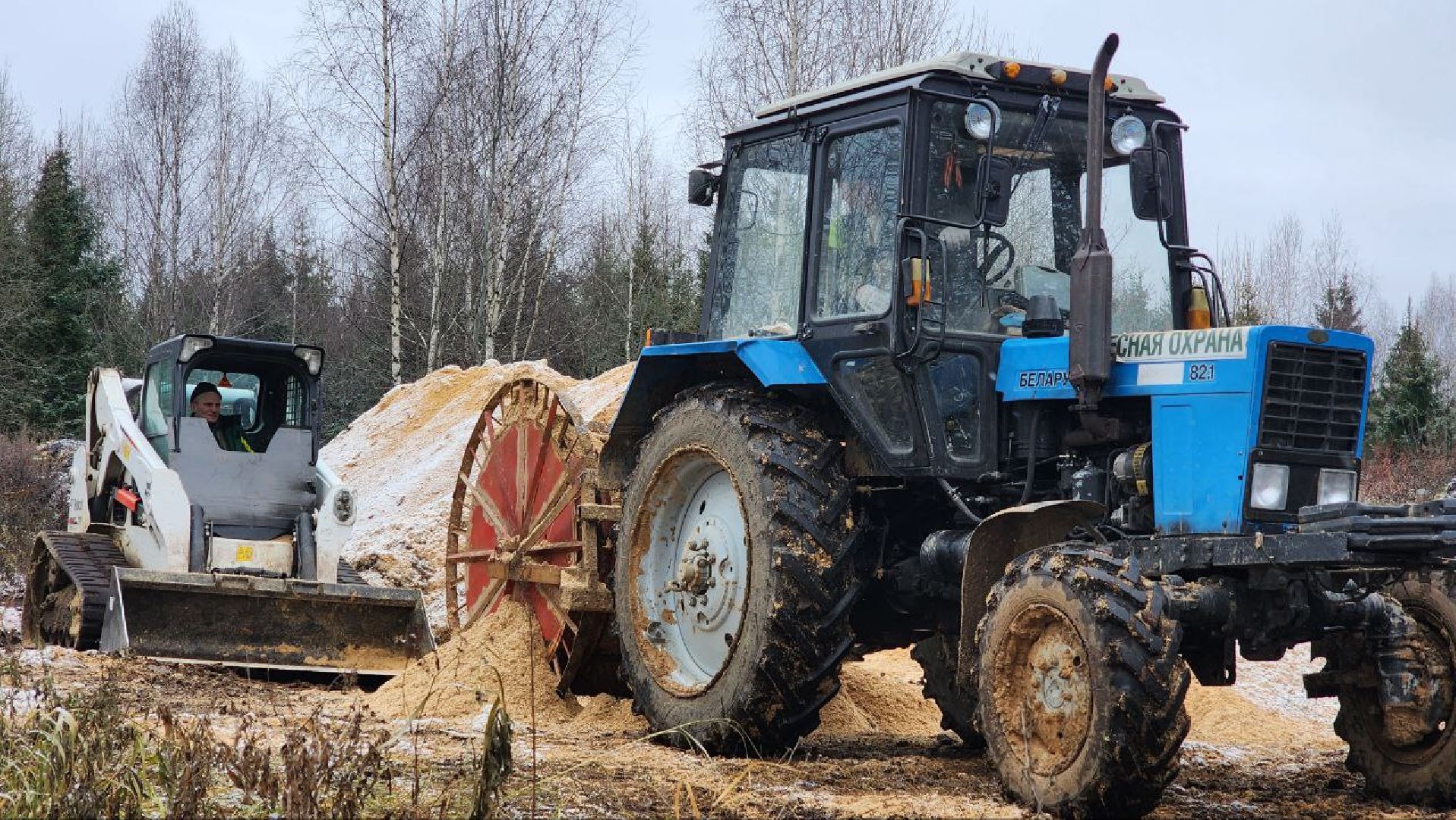 Дмитров, Лесной питомник, Комитет лесного хозяйства,