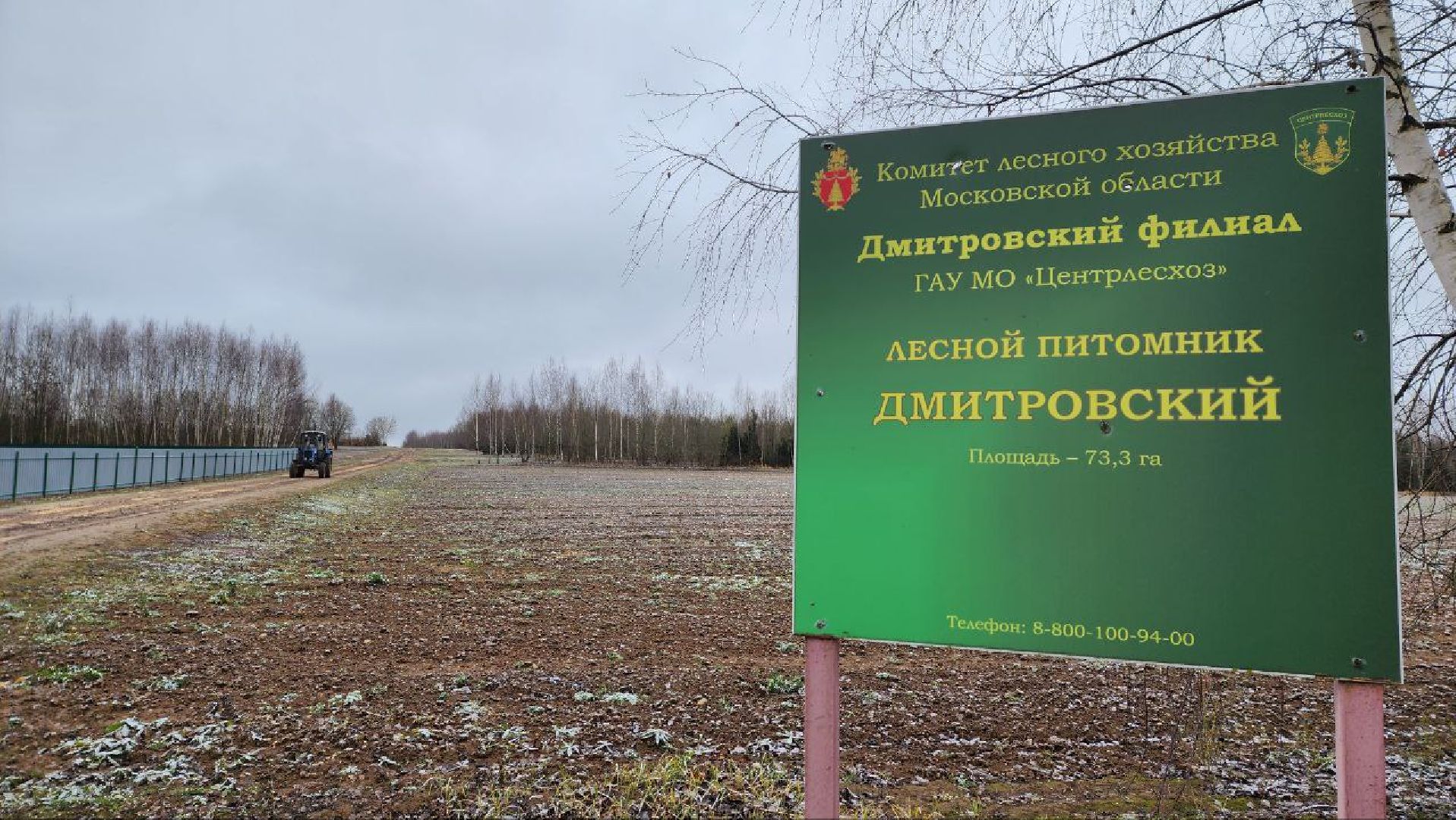 Дмитров, Лесной питомник, Комитет лесного хозяйства,