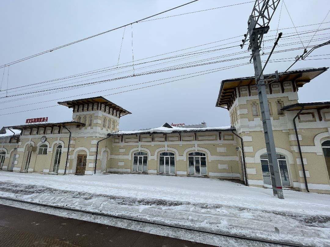 железная дорога, безопасность, штрафы, транспорт, транспортная полиция, одинцовский городской округ, ржд, Одинцово, Жаворонки, Перхушково