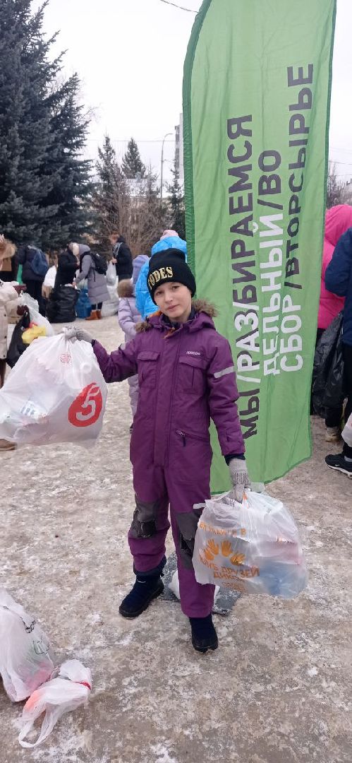 раздельный сбор мусора, сортировка отходов, экологический активизм, Ногинск, Богородский городской округ,