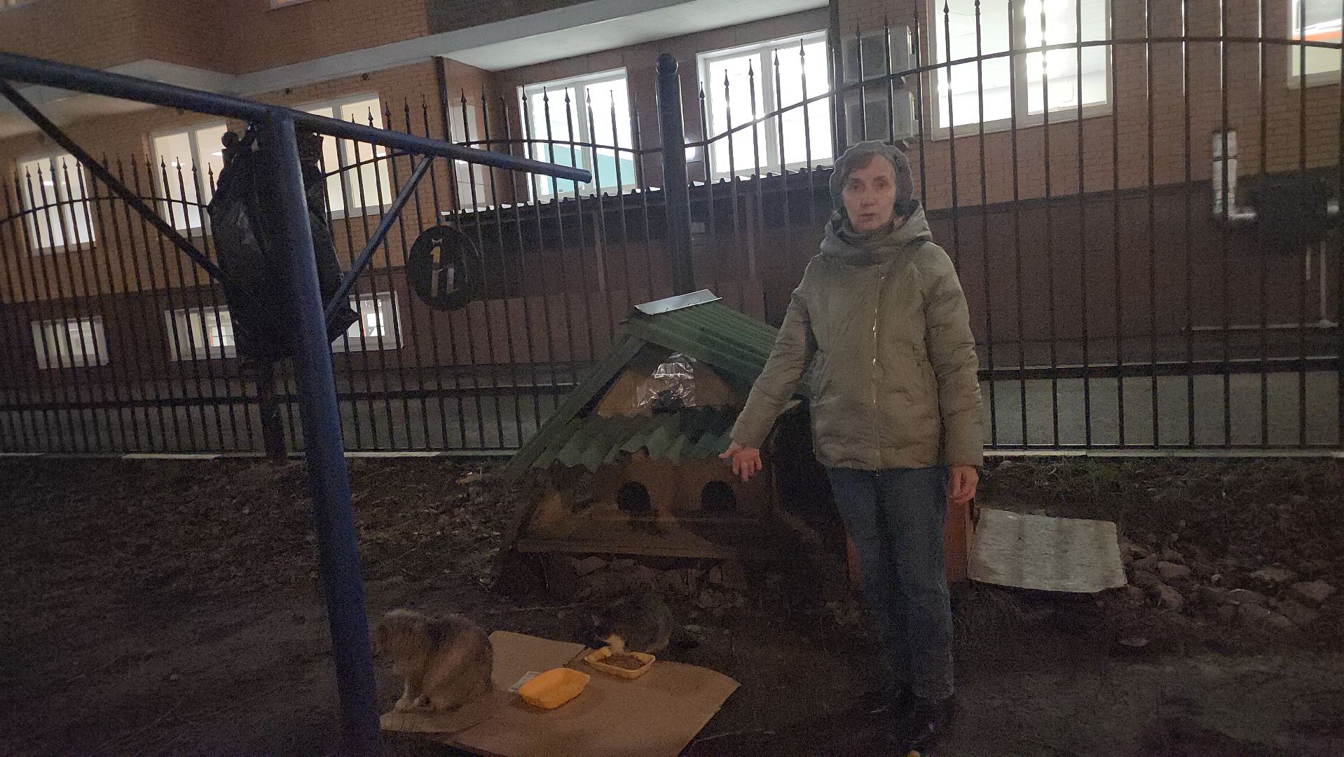 долгопрудный, кошкин дом, коты, крысоловы,