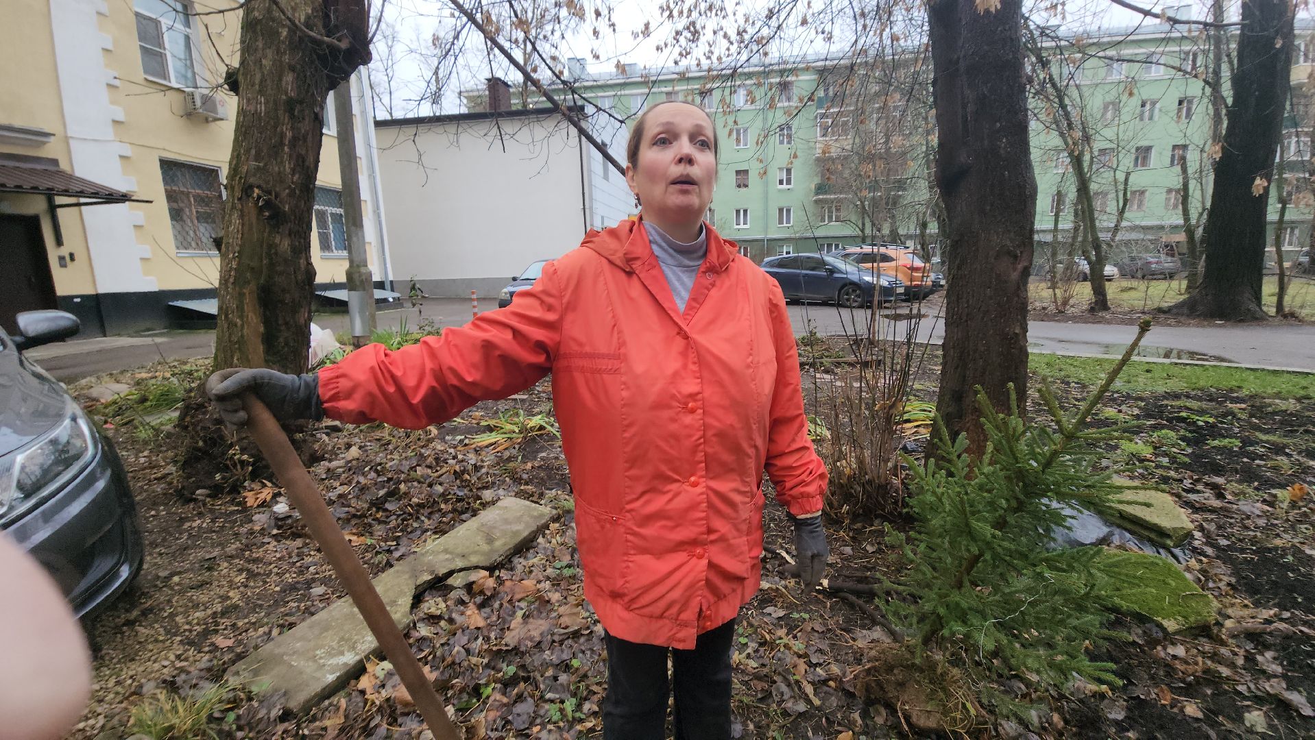 долгопрудный, кошкин дом, коты, крысоловы,