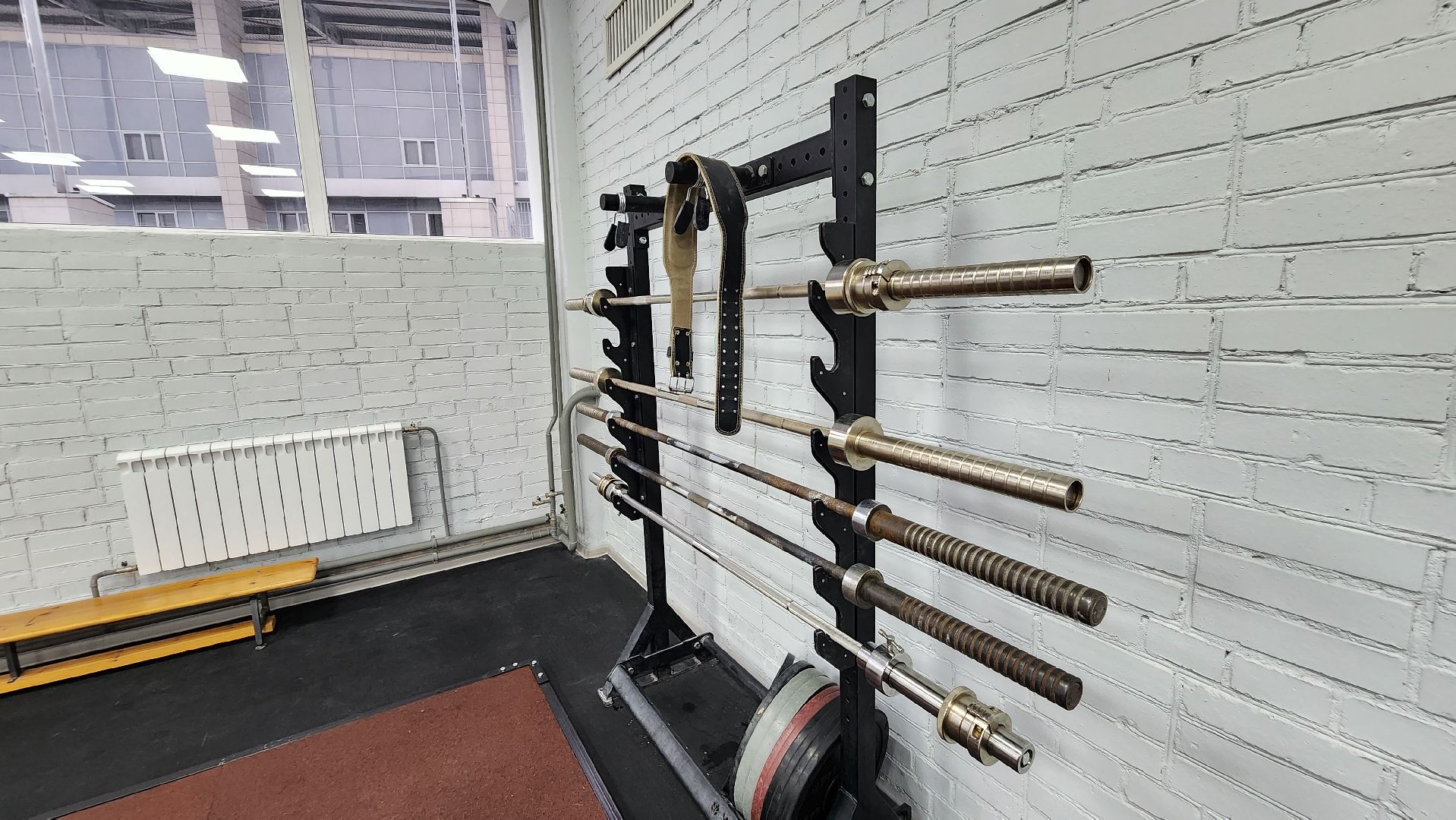 подольск, спорт,