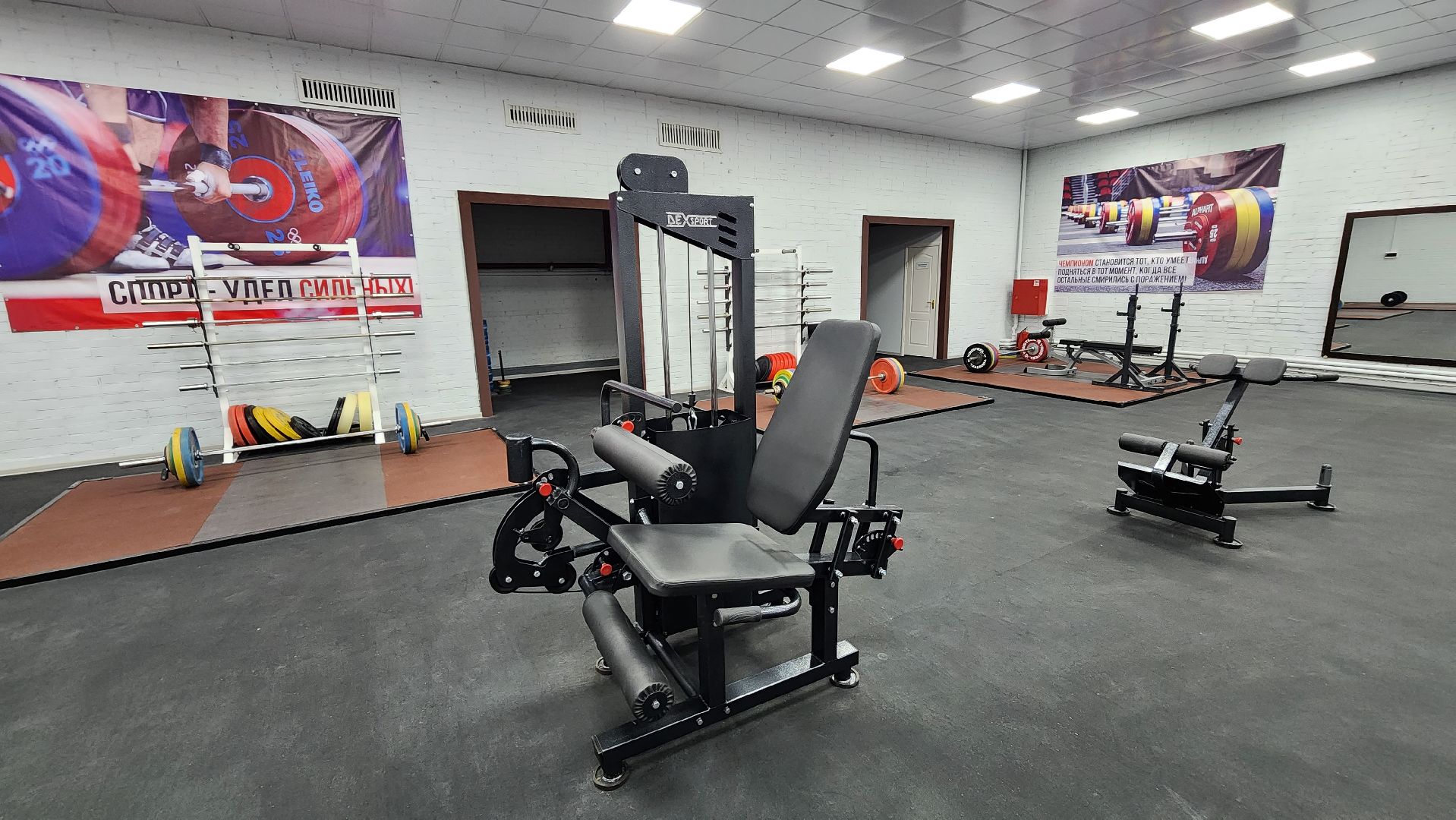 подольск, спорт,