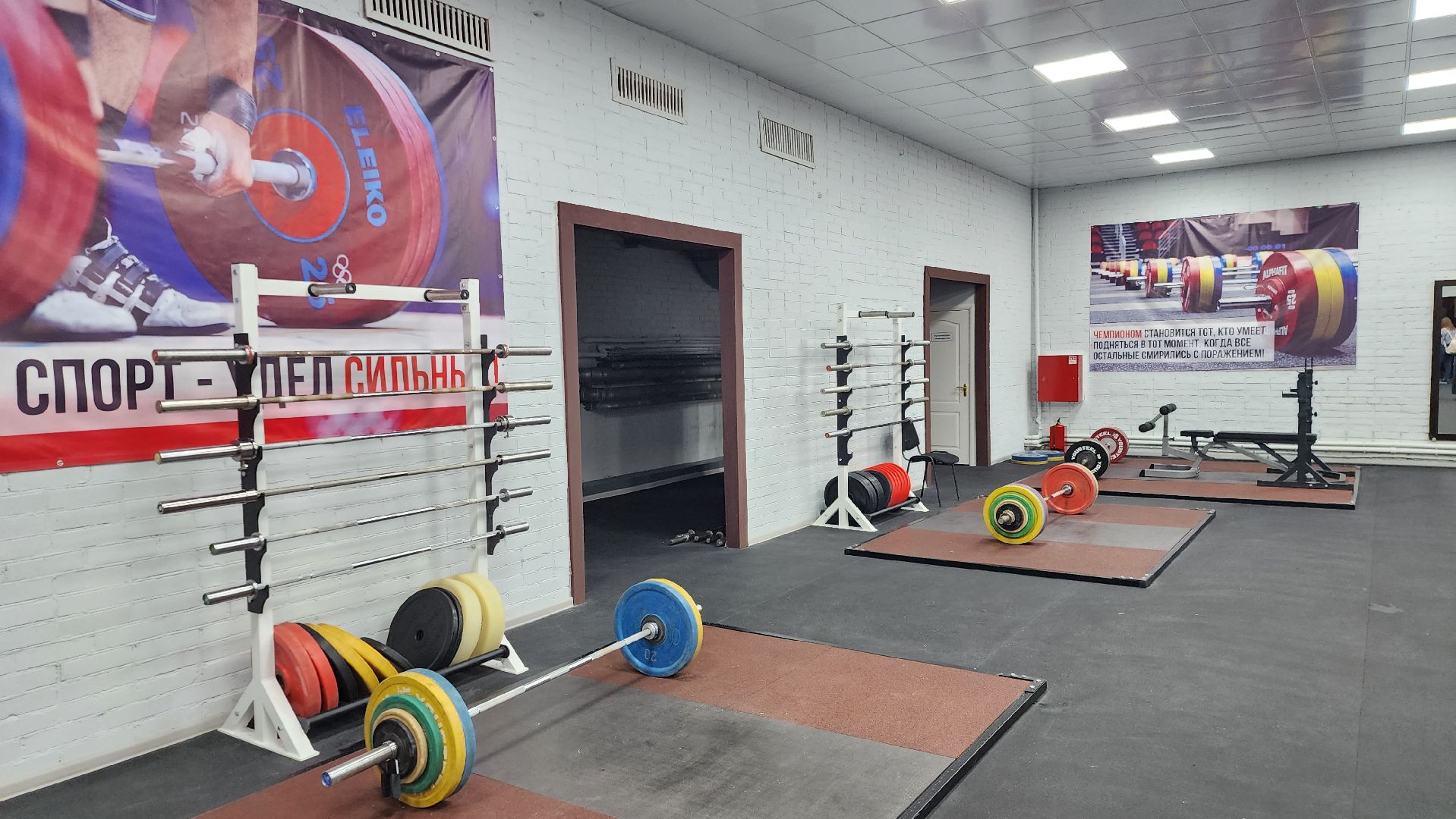 подольск, спорт,