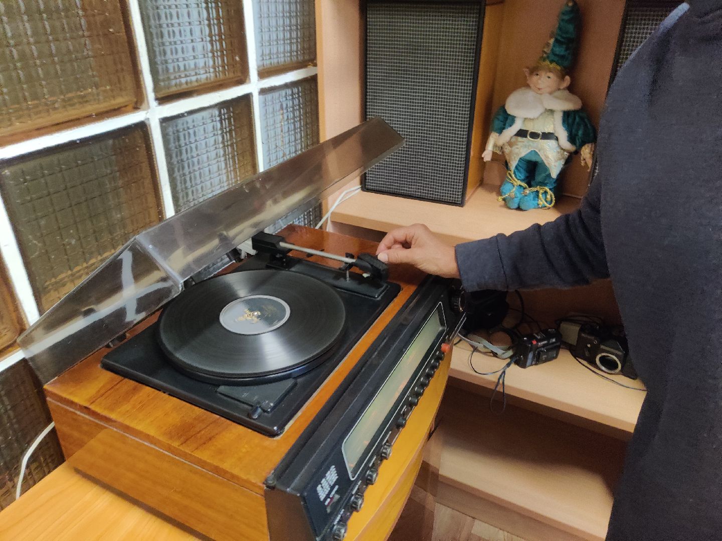 красноармейск, г.о. пушкинский, грампластинка, коллекция, библиотека,