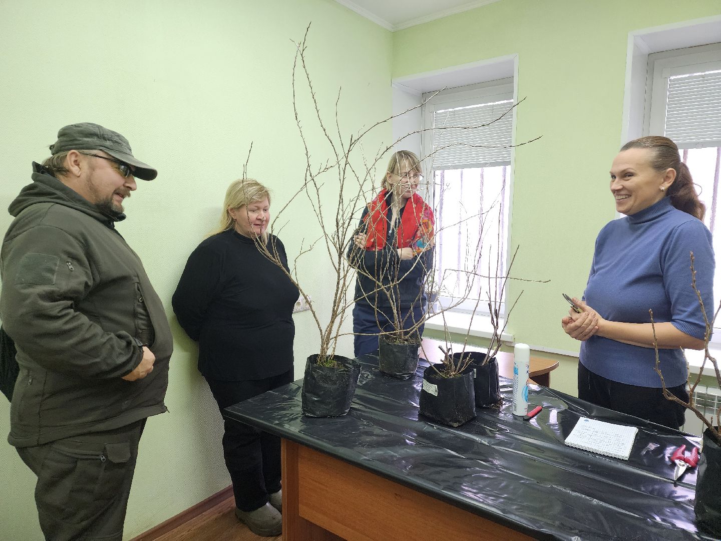 пушкино, садоводство, растения,