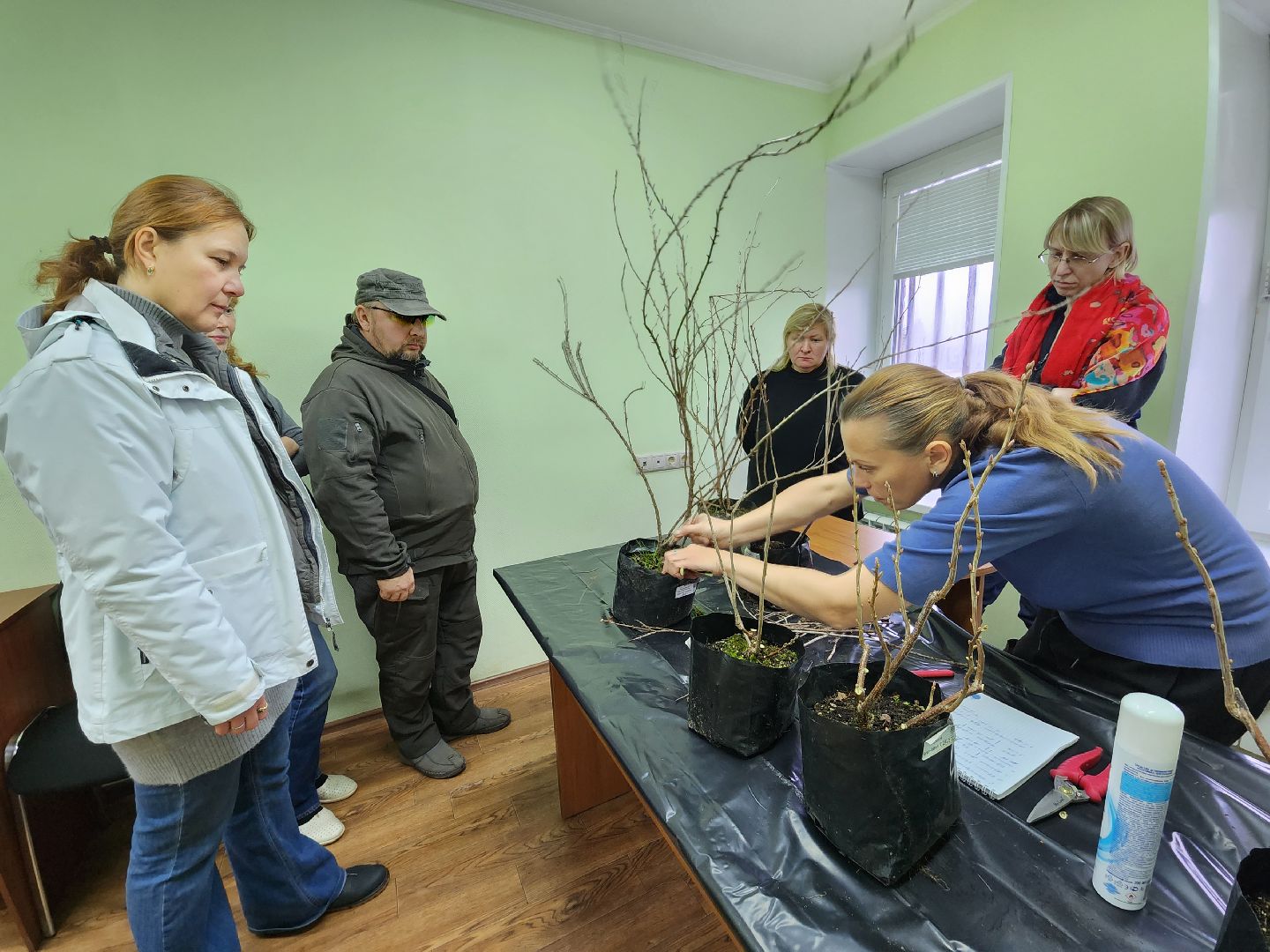 пушкино, садоводство, растения,