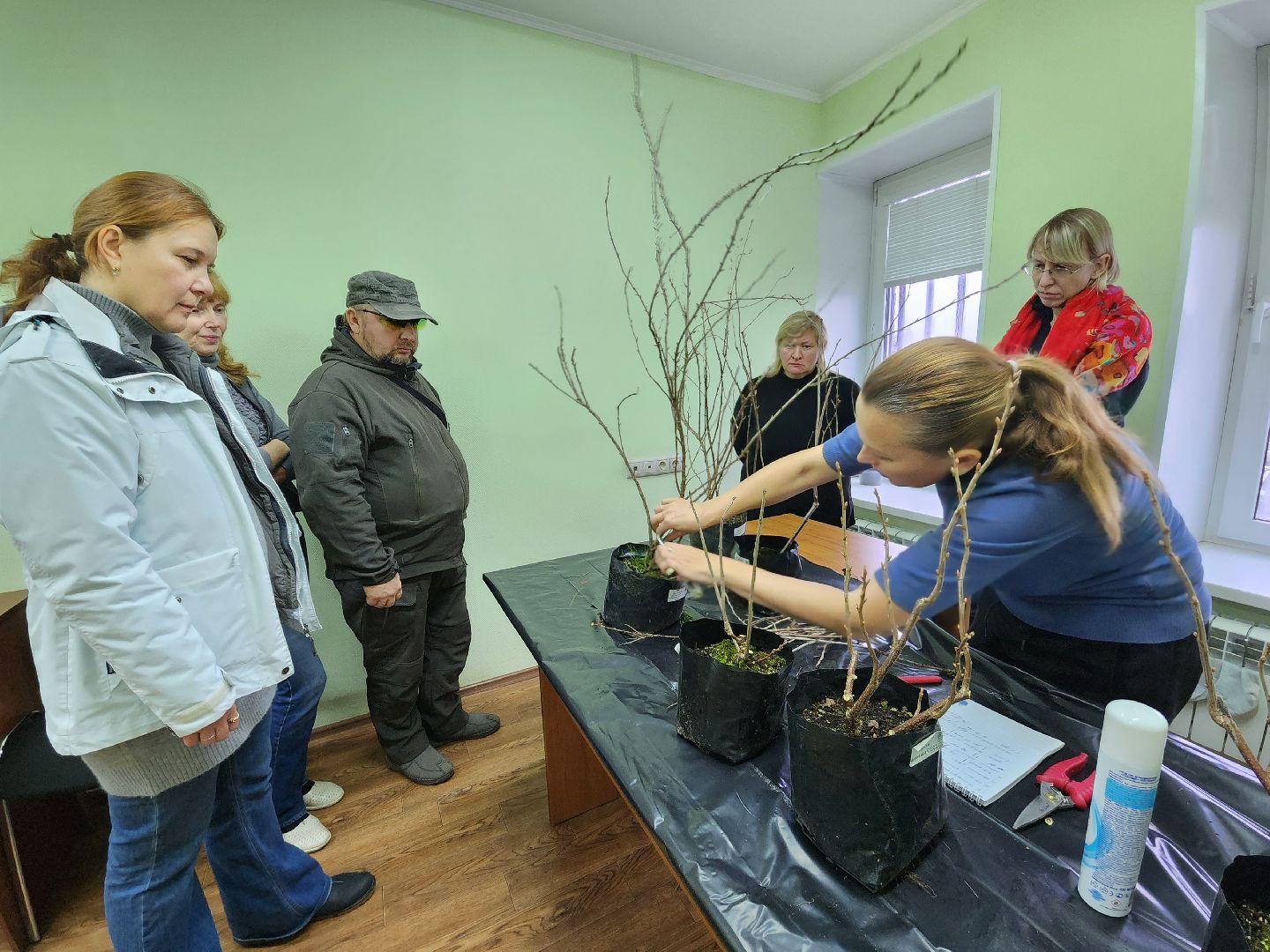 пушкино, садоводство, растения,