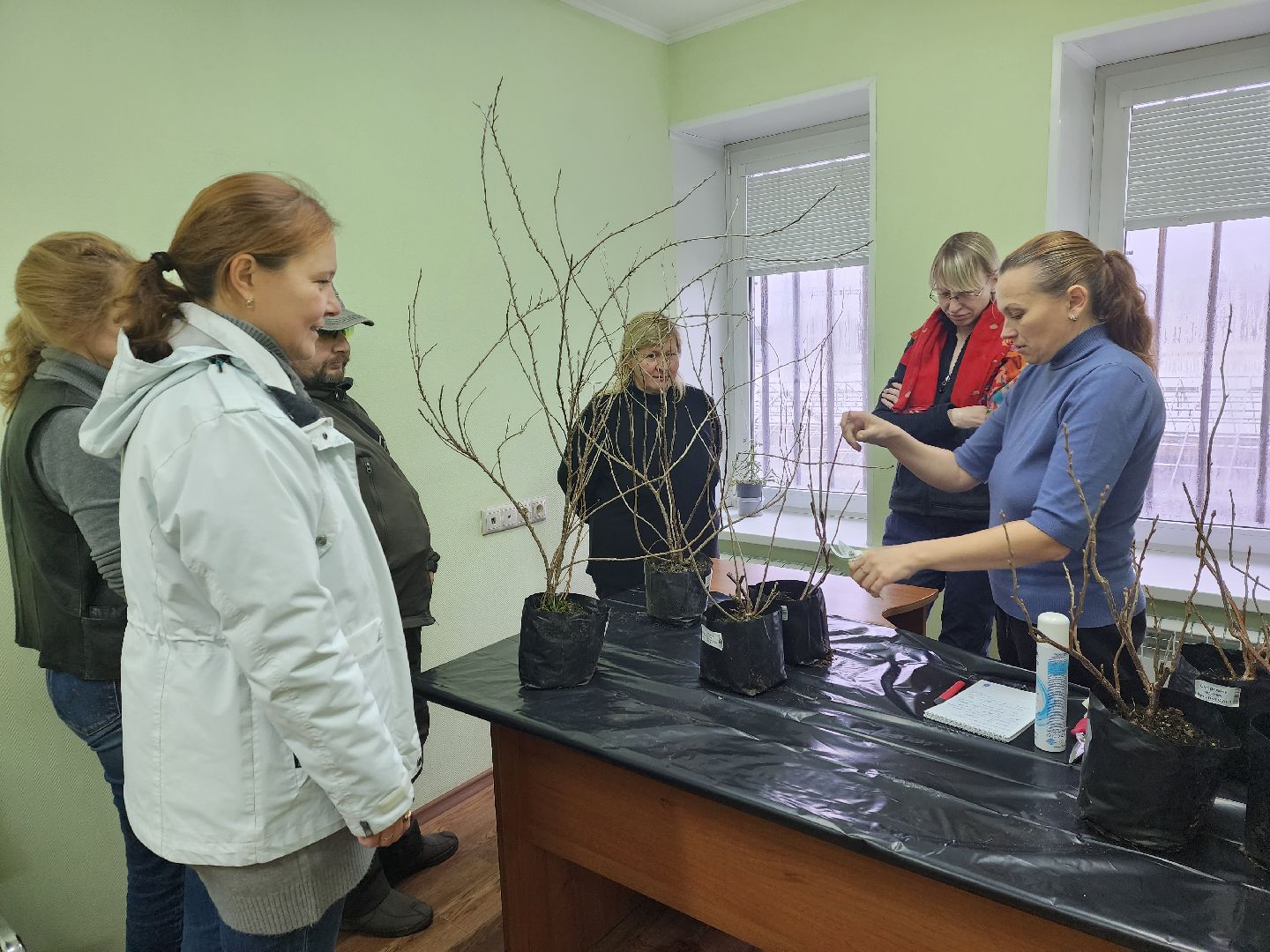 пушкино, садоводство, растения,