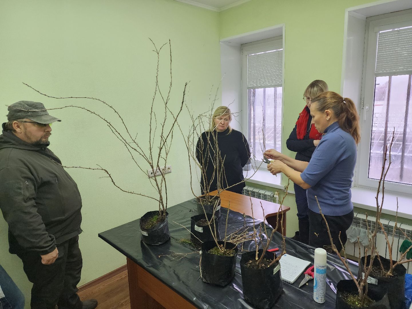 пушкино, садоводство, растения,