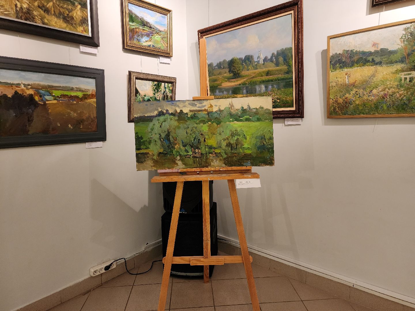 Звенигород, Благотворительность, Мастер-класс по живописи,