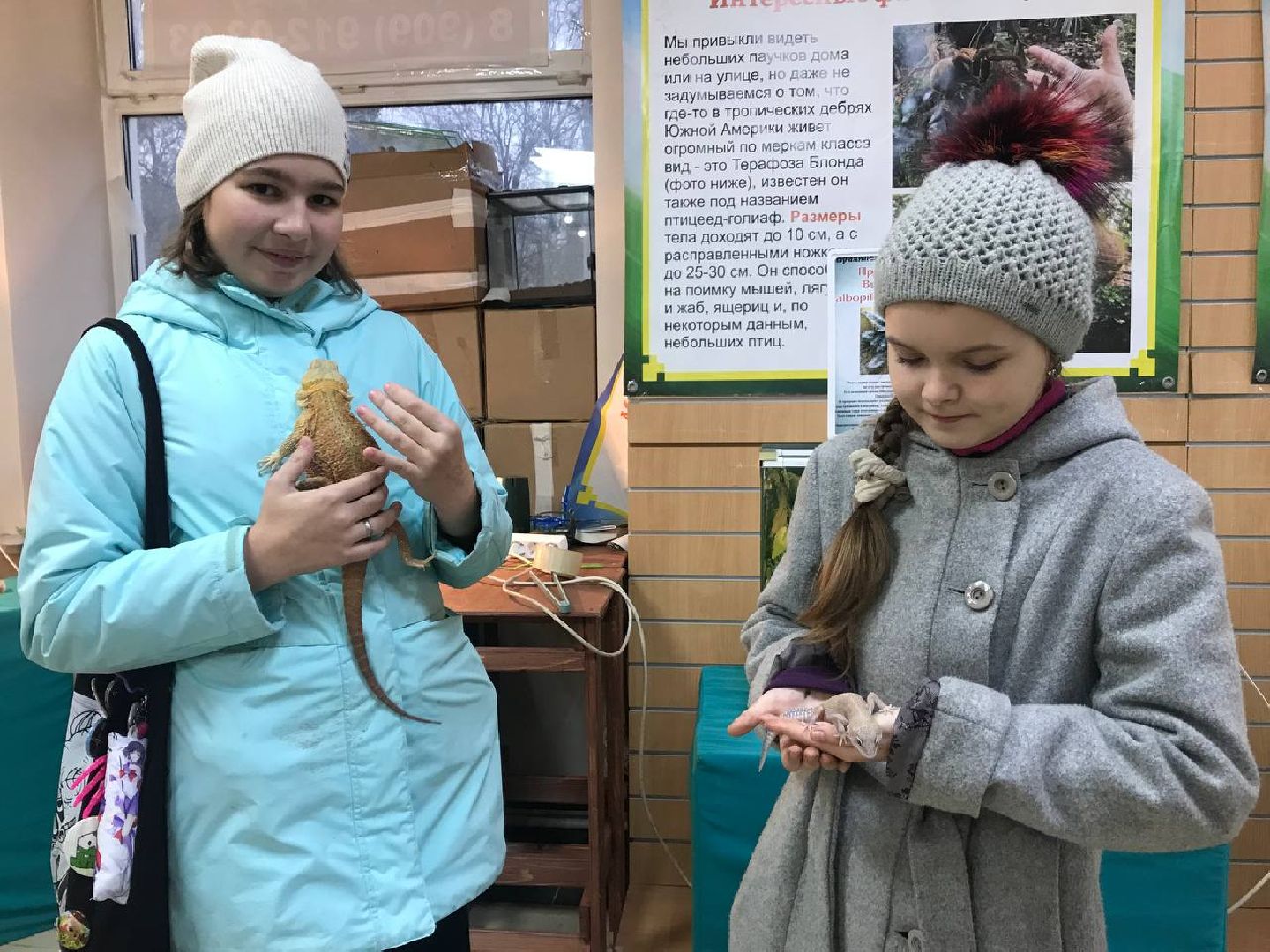 Егорьевск, пауки, выставка, подмосковье,