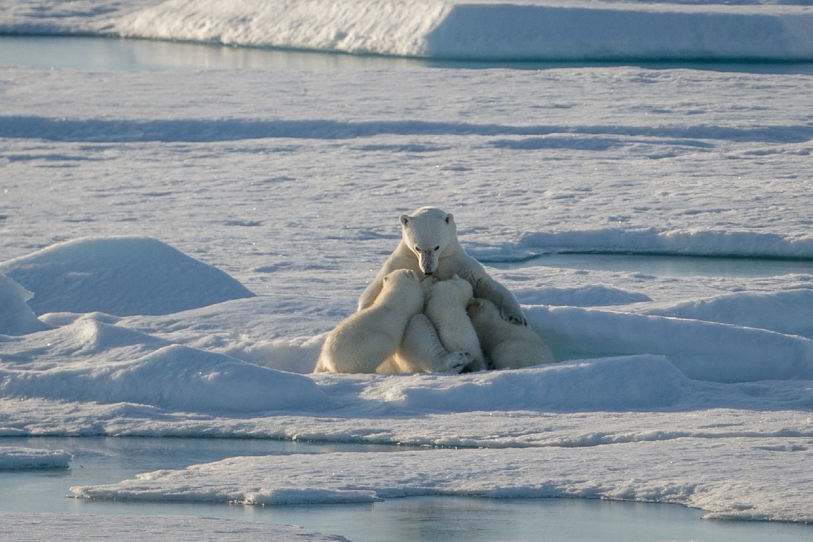 пущино, путешествия,