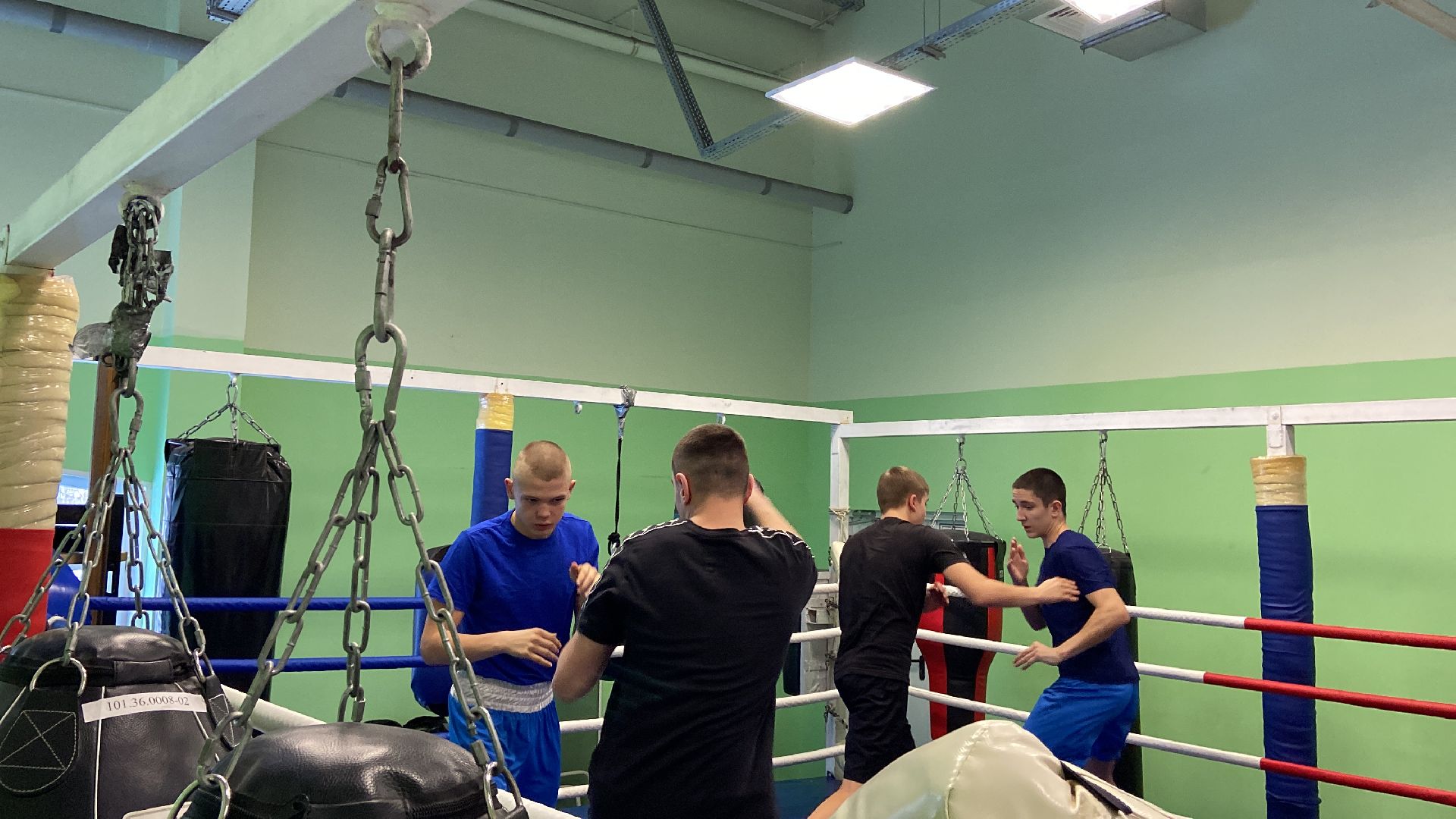 волоколамск, спорт, спорт подмосковья, спортивная тренировка, бокс, соревнования, турнир,