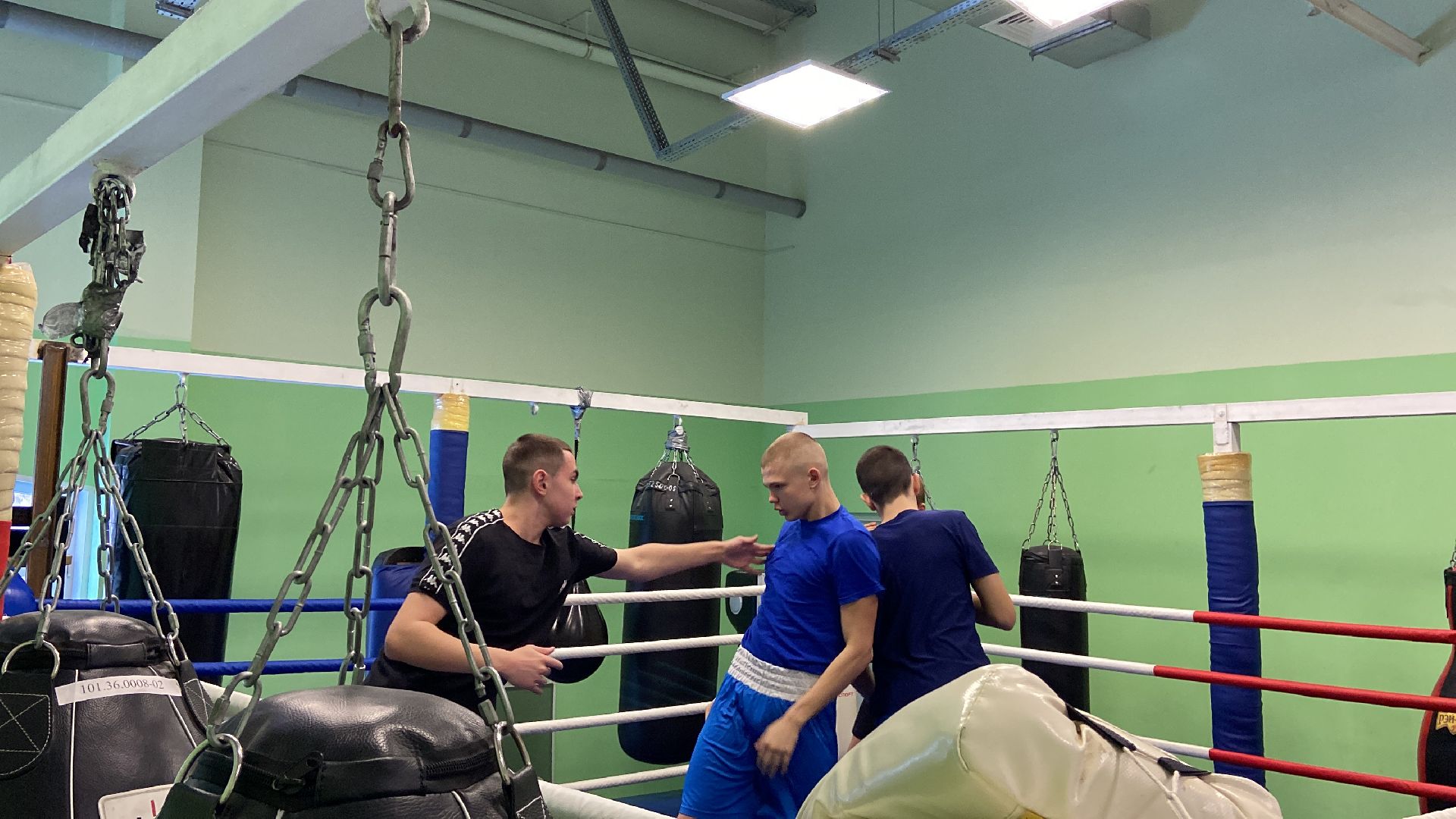 волоколамск, спорт, спорт подмосковья, спортивная тренировка, бокс, соревнования, турнир,