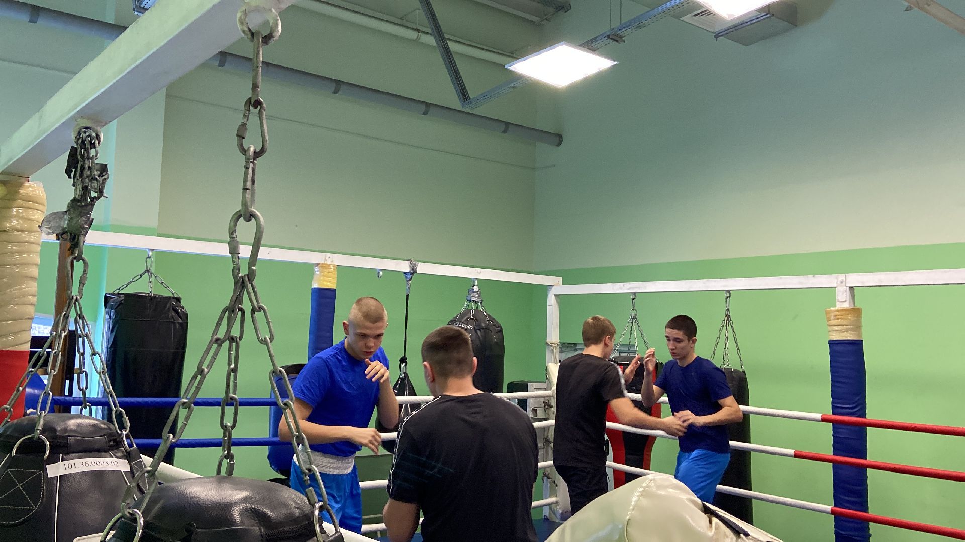 волоколамск, спорт, спорт подмосковья, спортивная тренировка, бокс, соревнования, турнир,