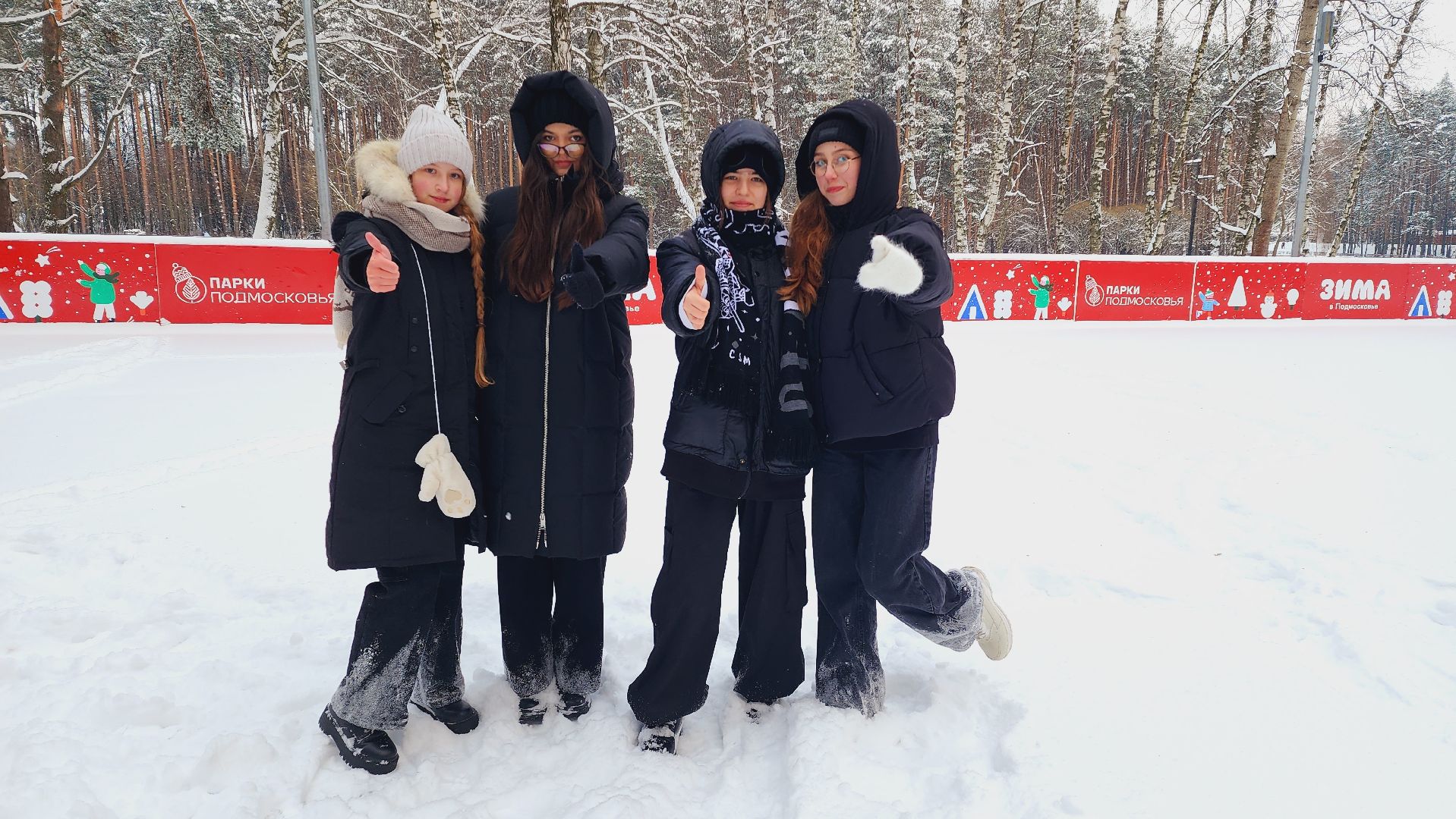 домодедово, подмоксовье, парки подмосковья, резиденция Деда Мороза, письмо Деду Морозу, Новый год, парк Елочки, исполнение желаний, почтовый ящик, усадьба деда Мороза, подарки, письма, московская усадьба, чудеса, волшебство,