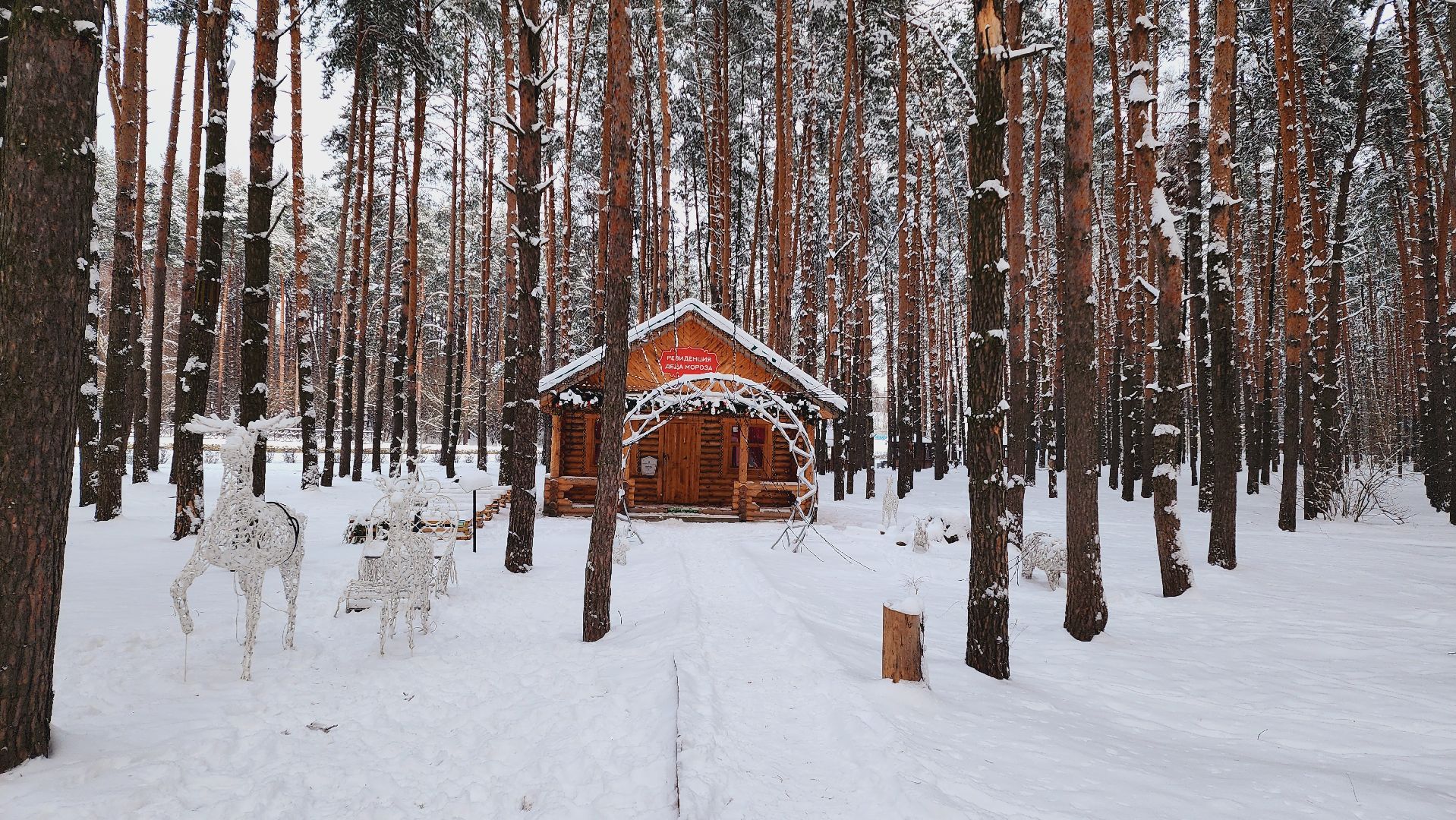 домодедово, подмоксовье, парки подмосковья, резиденция Деда Мороза, письмо Деду Морозу, Новый год, парк Елочки, исполнение желаний, почтовый ящик, усадьба деда Мороза, подарки, письма, московская усадьба, чудеса, волшебство,
