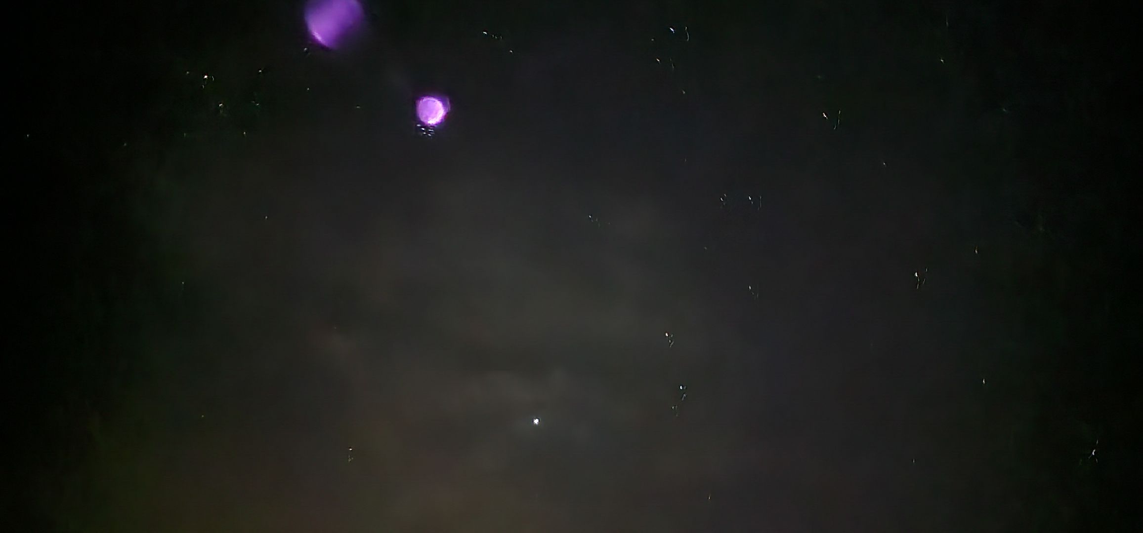 Коломна, Подмосковье, звездопад, звезды,