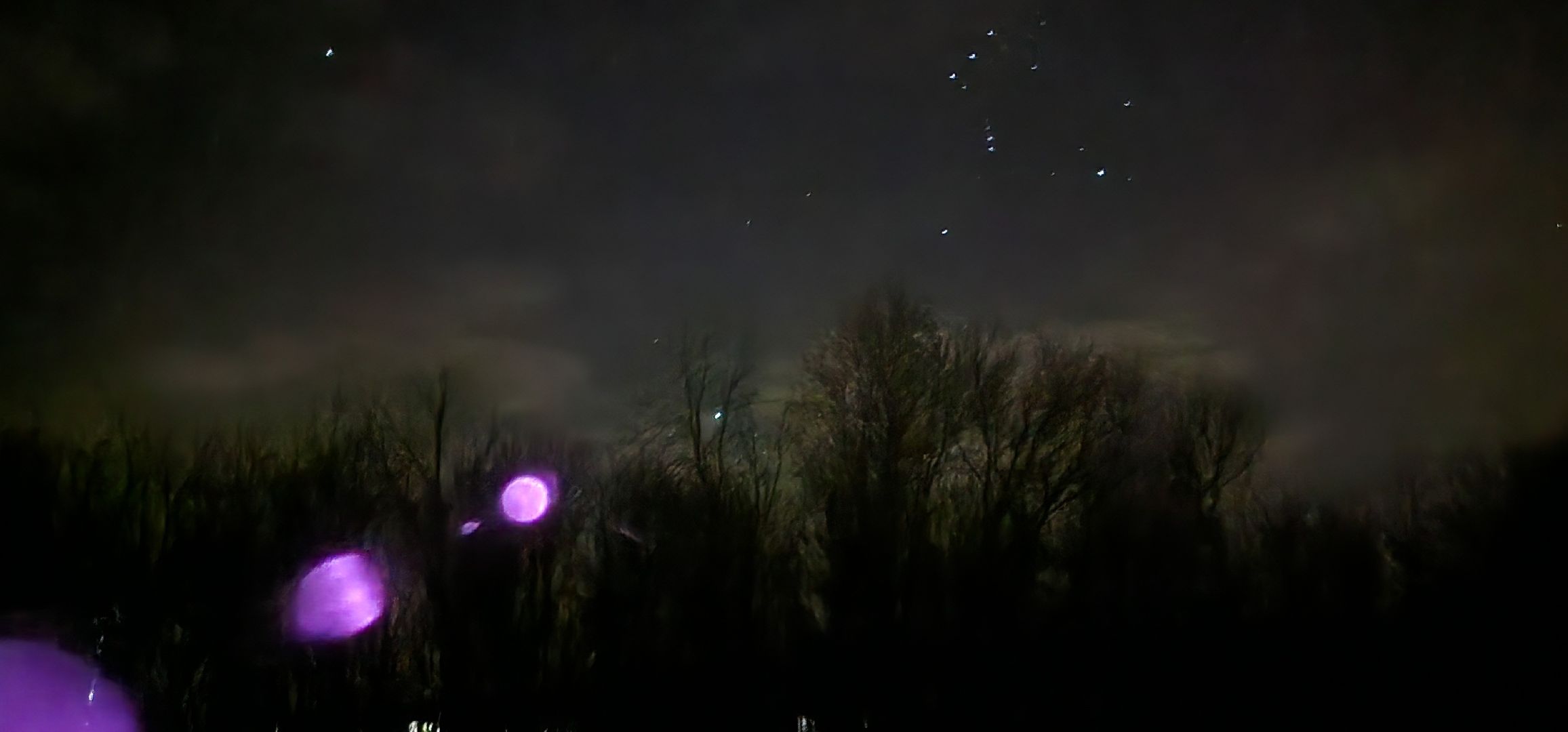 Коломна, Подмосковье, звездопад, звезды,