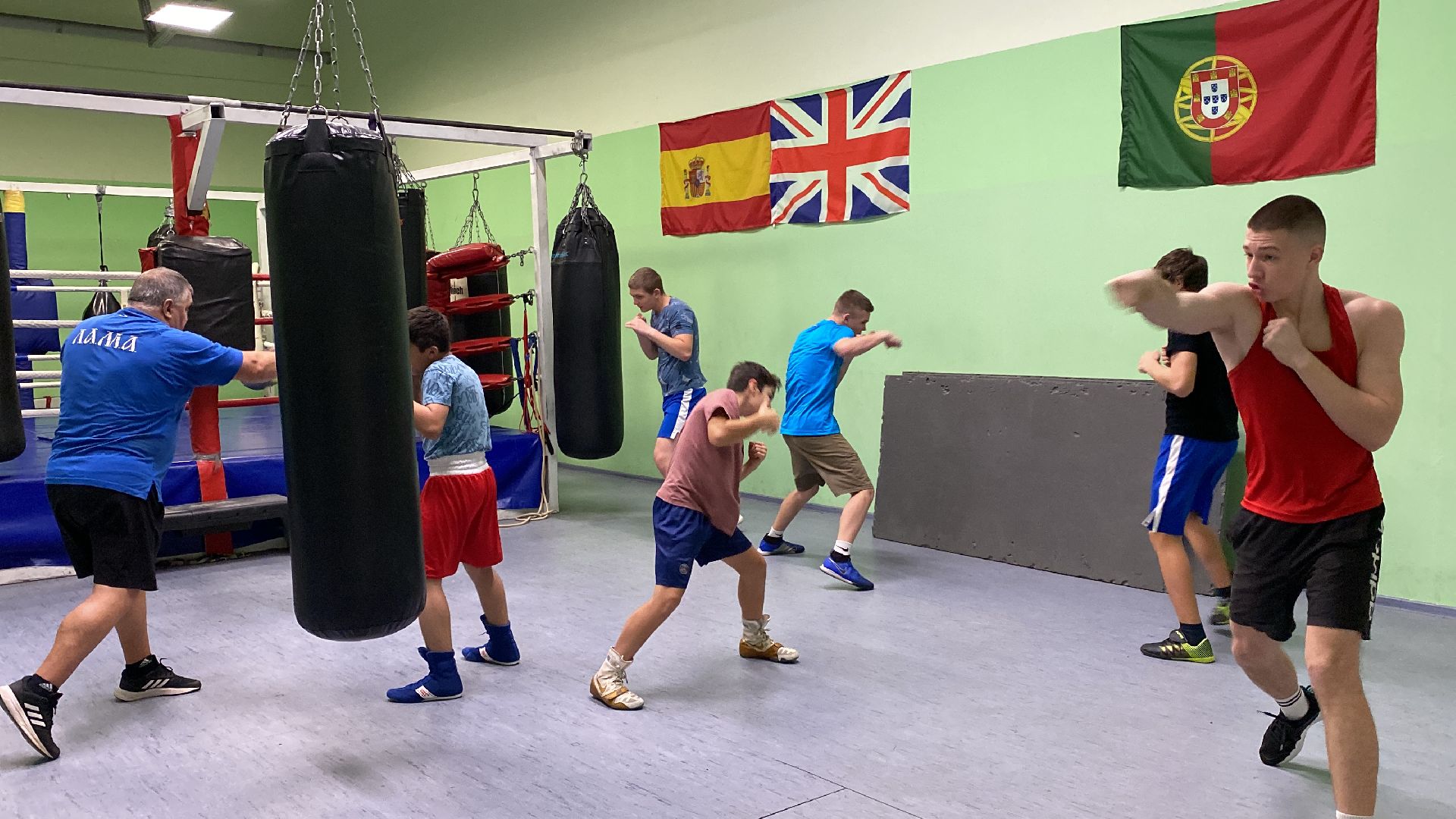 волоколамск, бокс, спорт, спорт подмосковья, спортивная тренировка, соревнования, турнир,