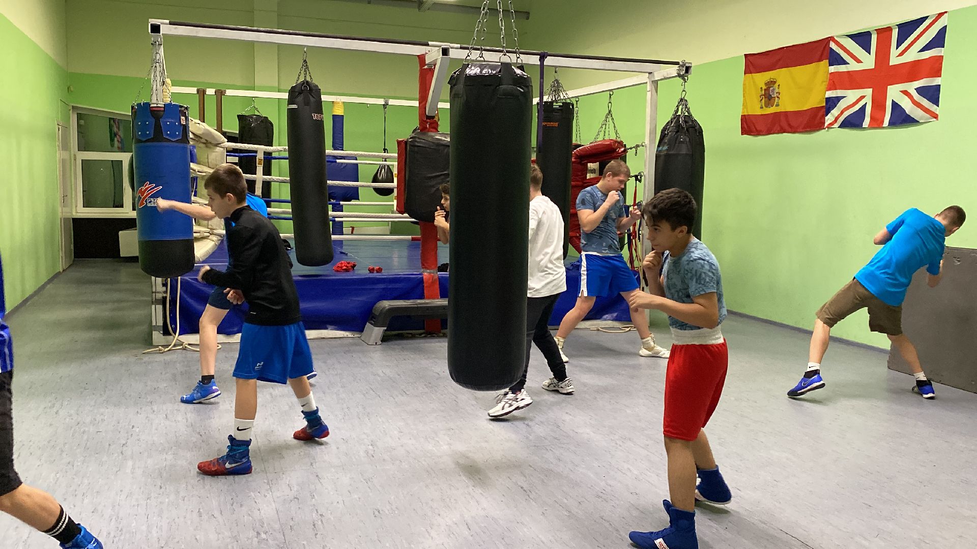 волоколамск, бокс, спорт, спорт подмосковья, спортивная тренировка, соревнования, турнир,