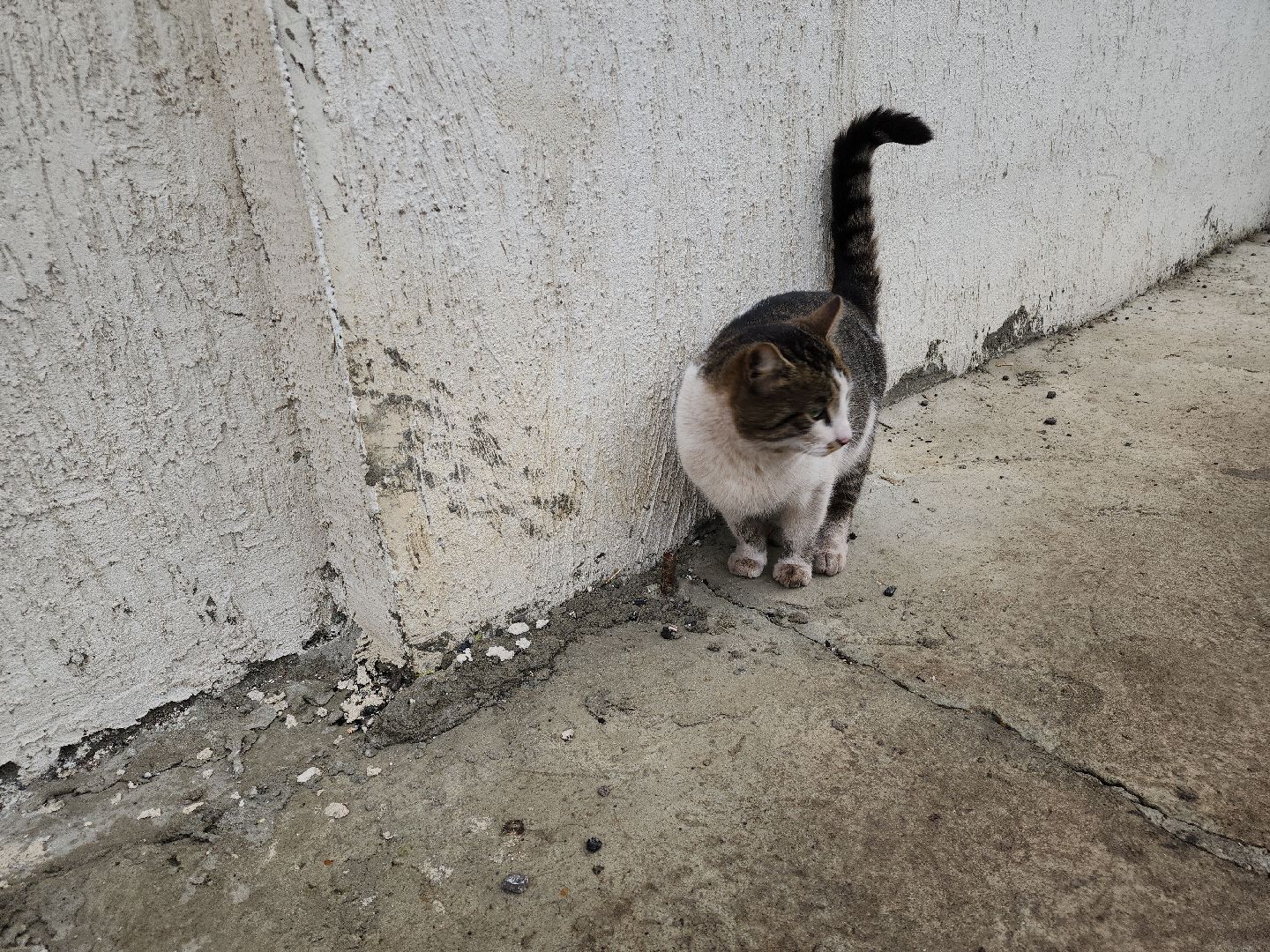 кашира, ст-техникс, производство, навесное оборудование, гидромолот, отвал, щетка,