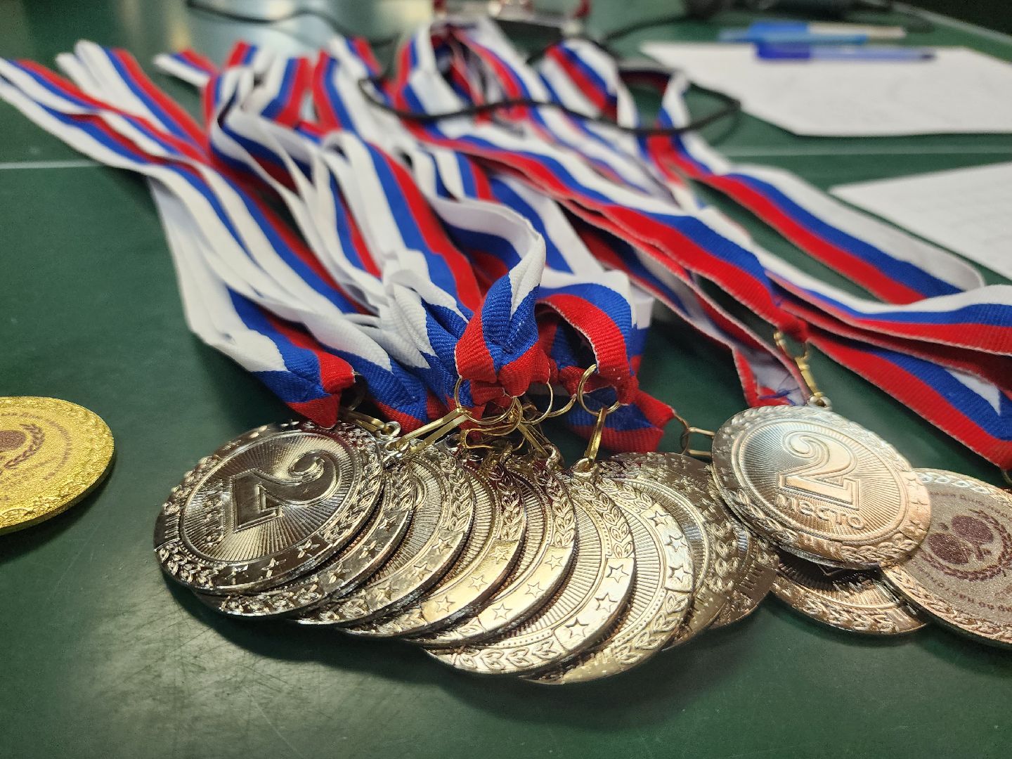 турнир, настольный теннис, день народного единства, Старая Купавна, Богородский городской округ,