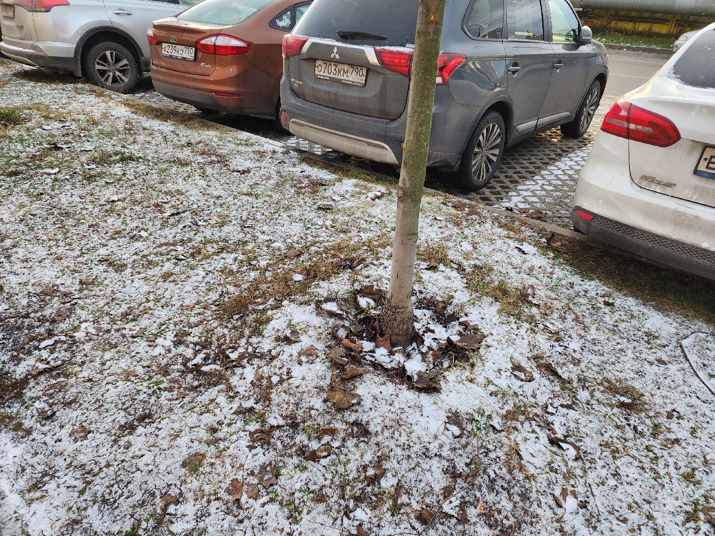 погода, химки, подмоксовье,