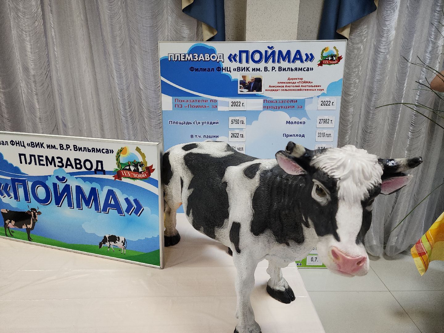 луховицы, сельское хозяйство, праздник,