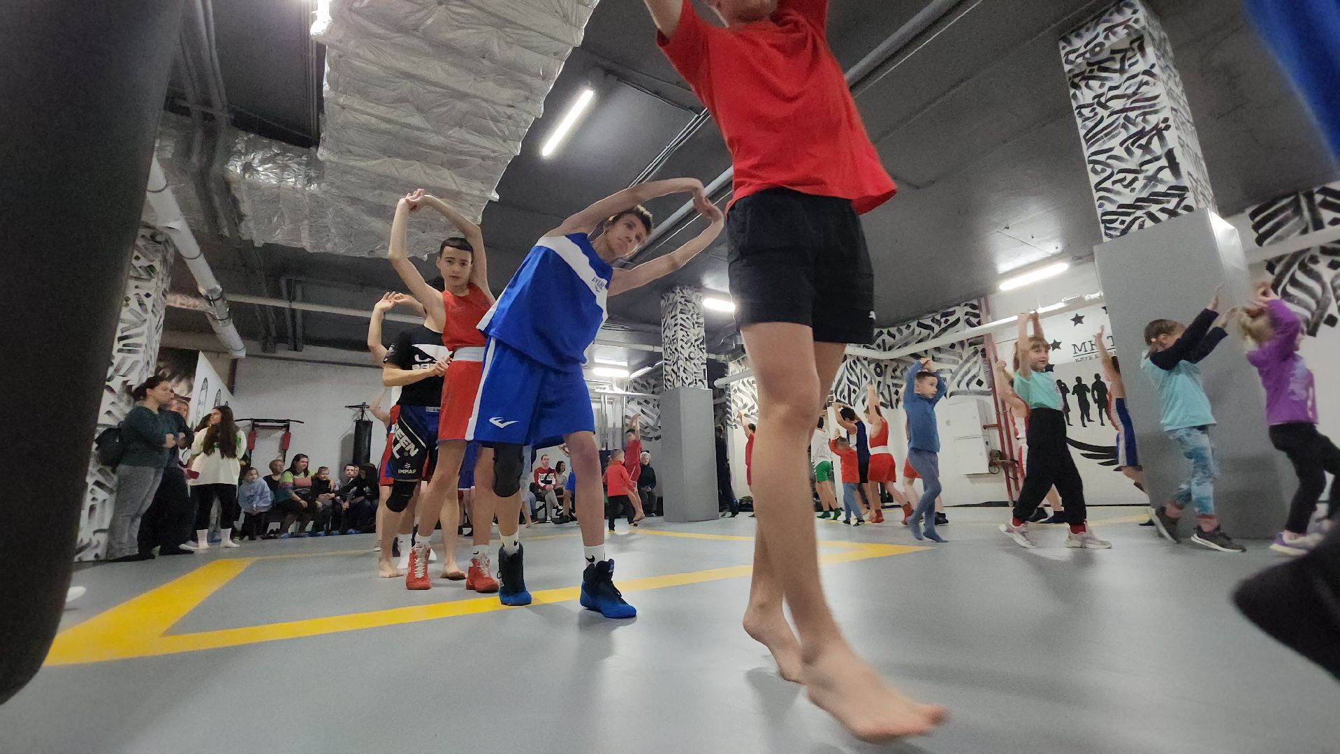 Пушкино, Городской округ Пушкинский, спорт, бокс, Сергей Акопян, единоборства, большой спорт, дети, общество,