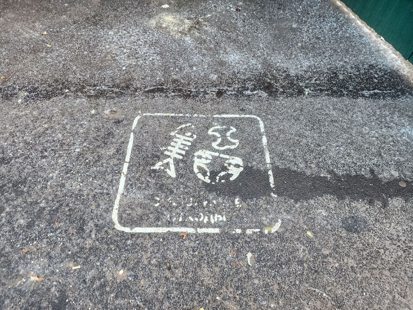 контейнерная площадка, Мясищева, КГО, бункер, мусор, ЭкоЛайн,