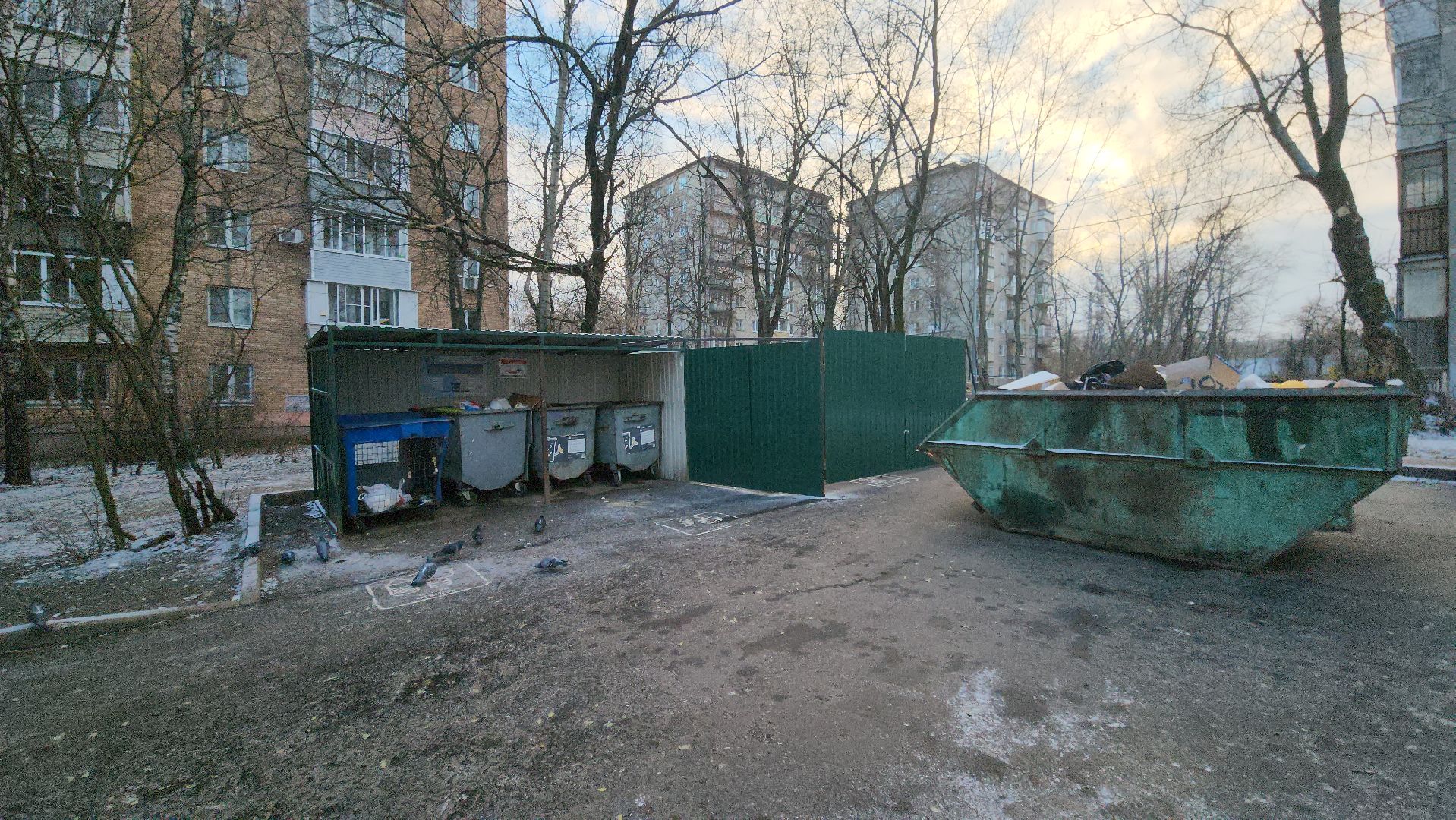 контейнерная площадка, Мясищева, КГО, бункер, мусор, ЭкоЛайн,