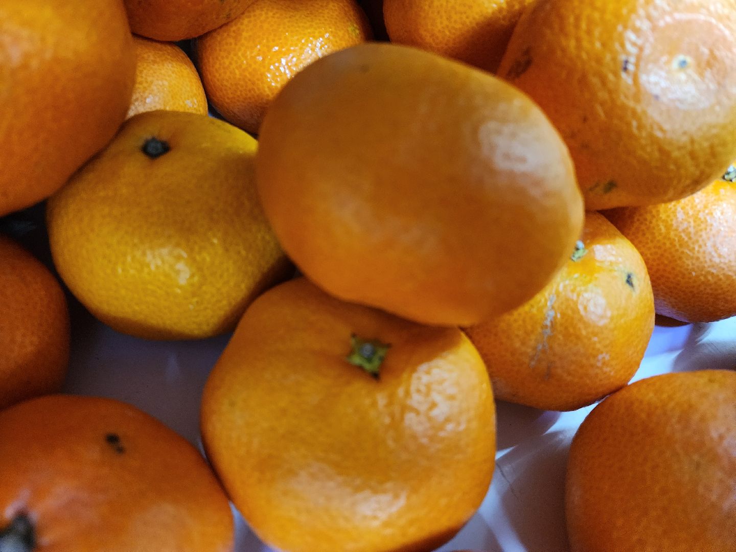 Еда, Химки, Подмосковье,