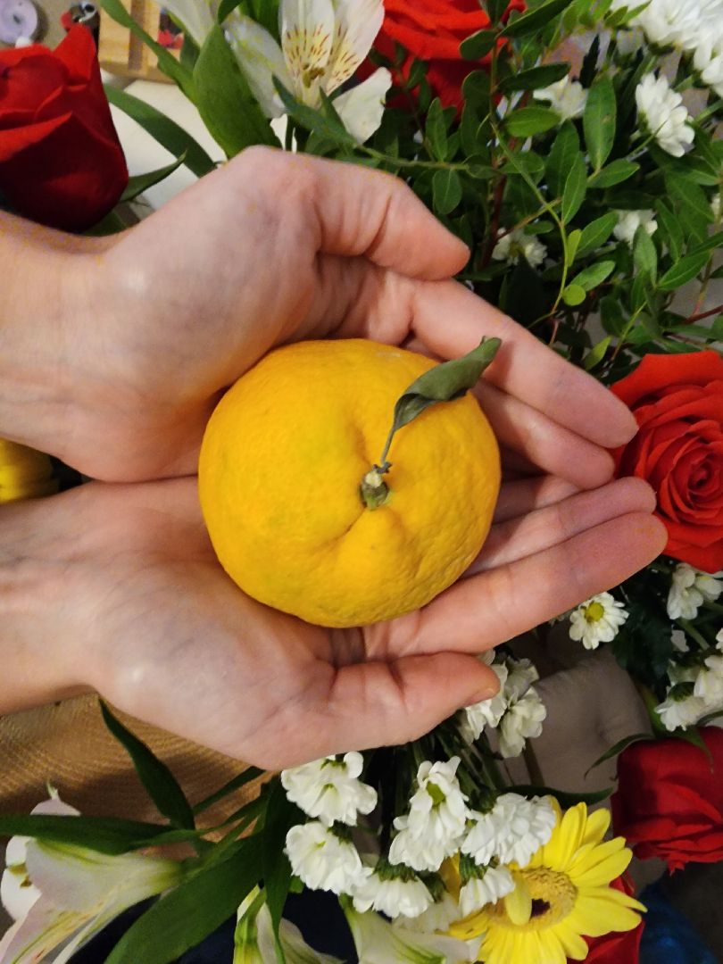 Еда, Химки, Подмосковье,