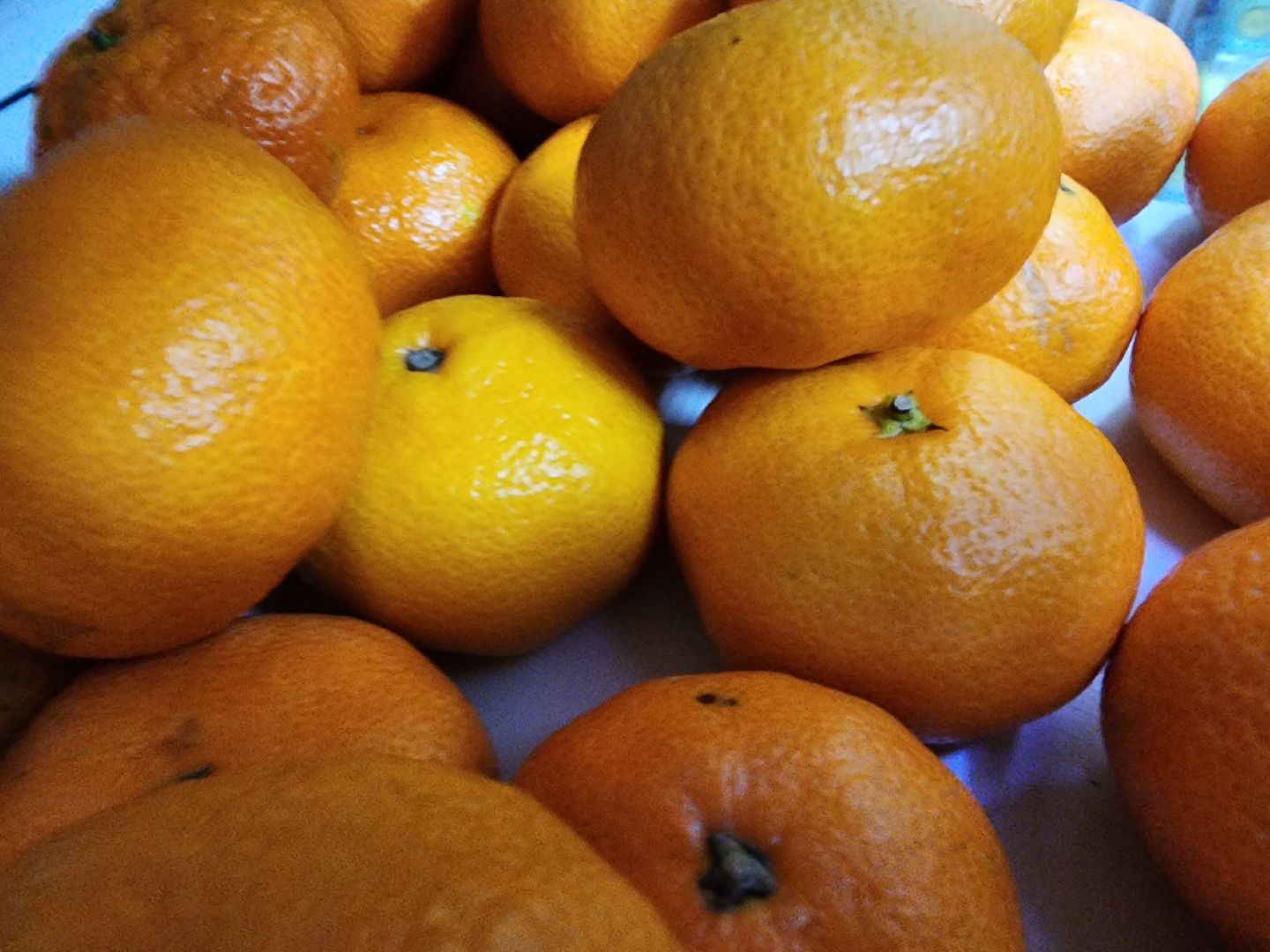 Еда, Химки, Подмосковье,