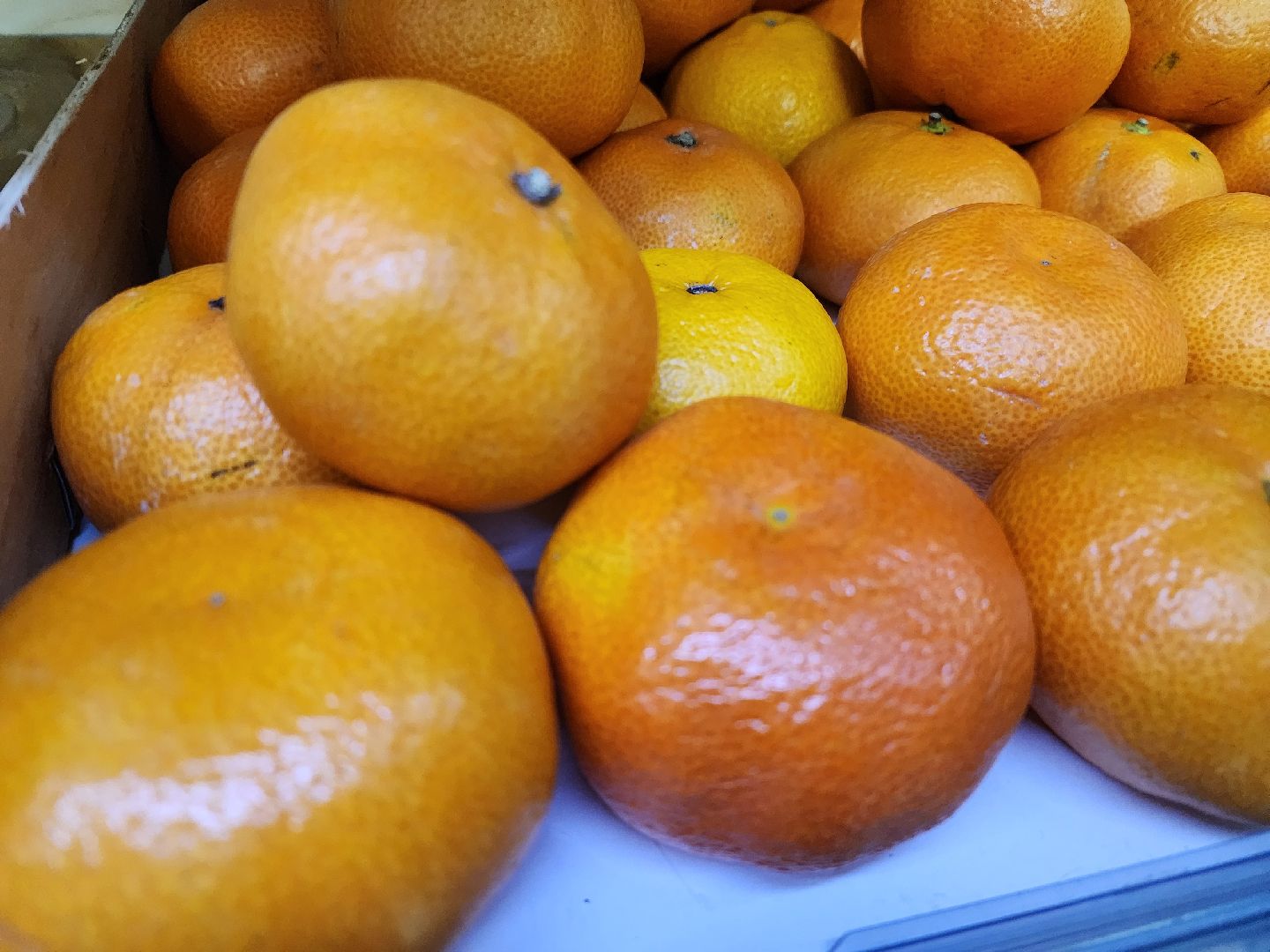 Еда, Химки, Подмосковье,