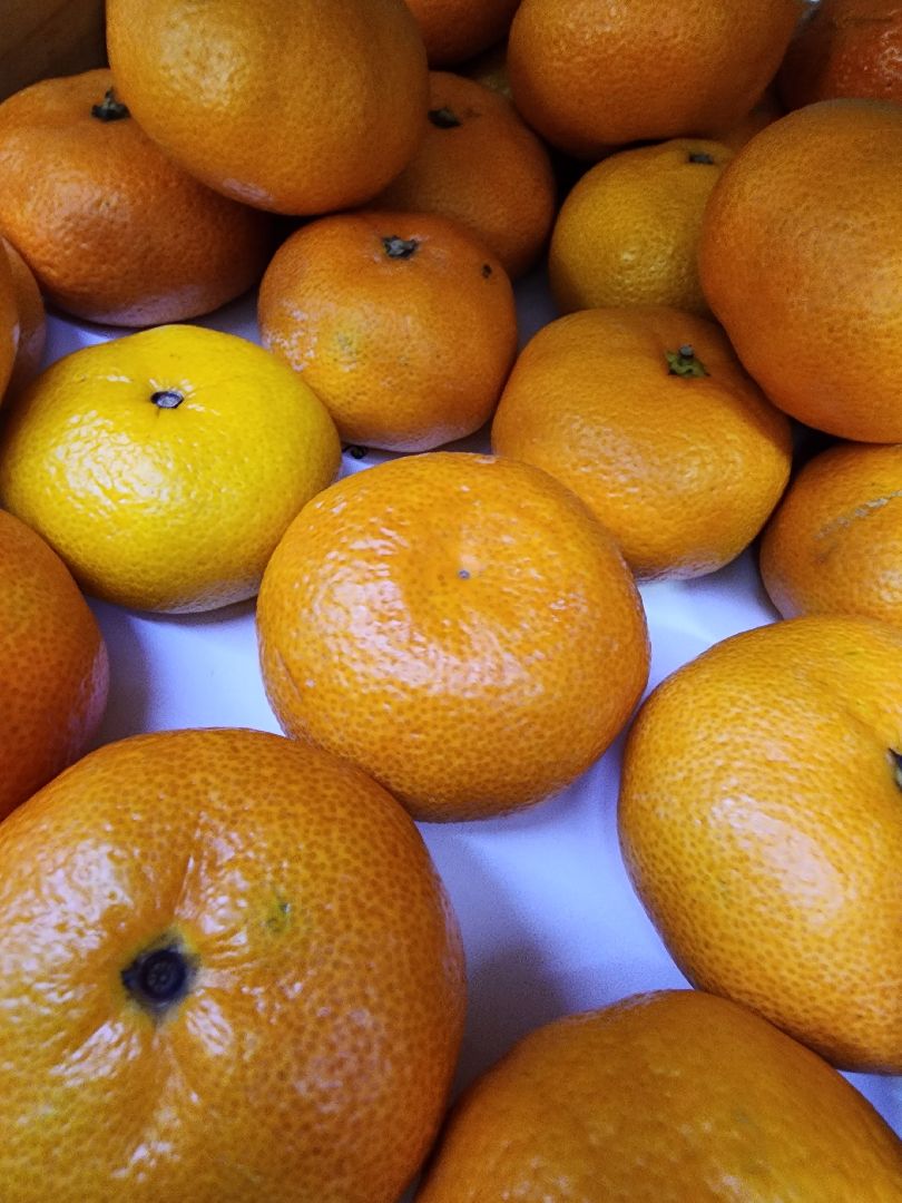 Еда, Химки, Подмосковье,