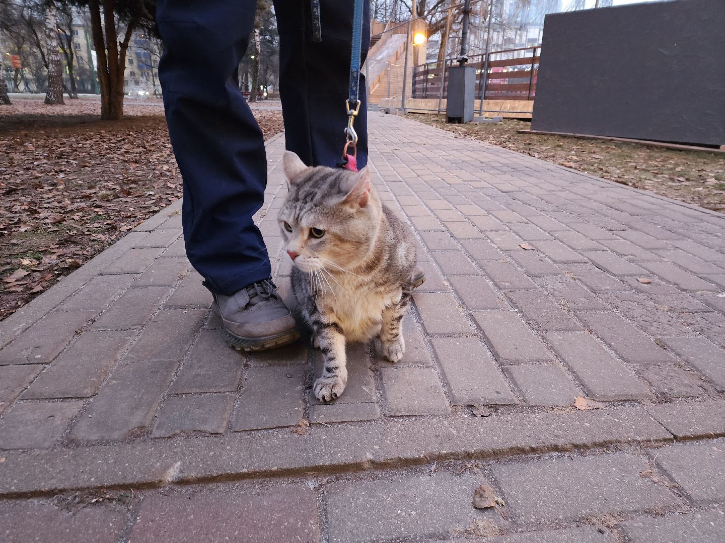 новыйгод,подмосковье,химки,