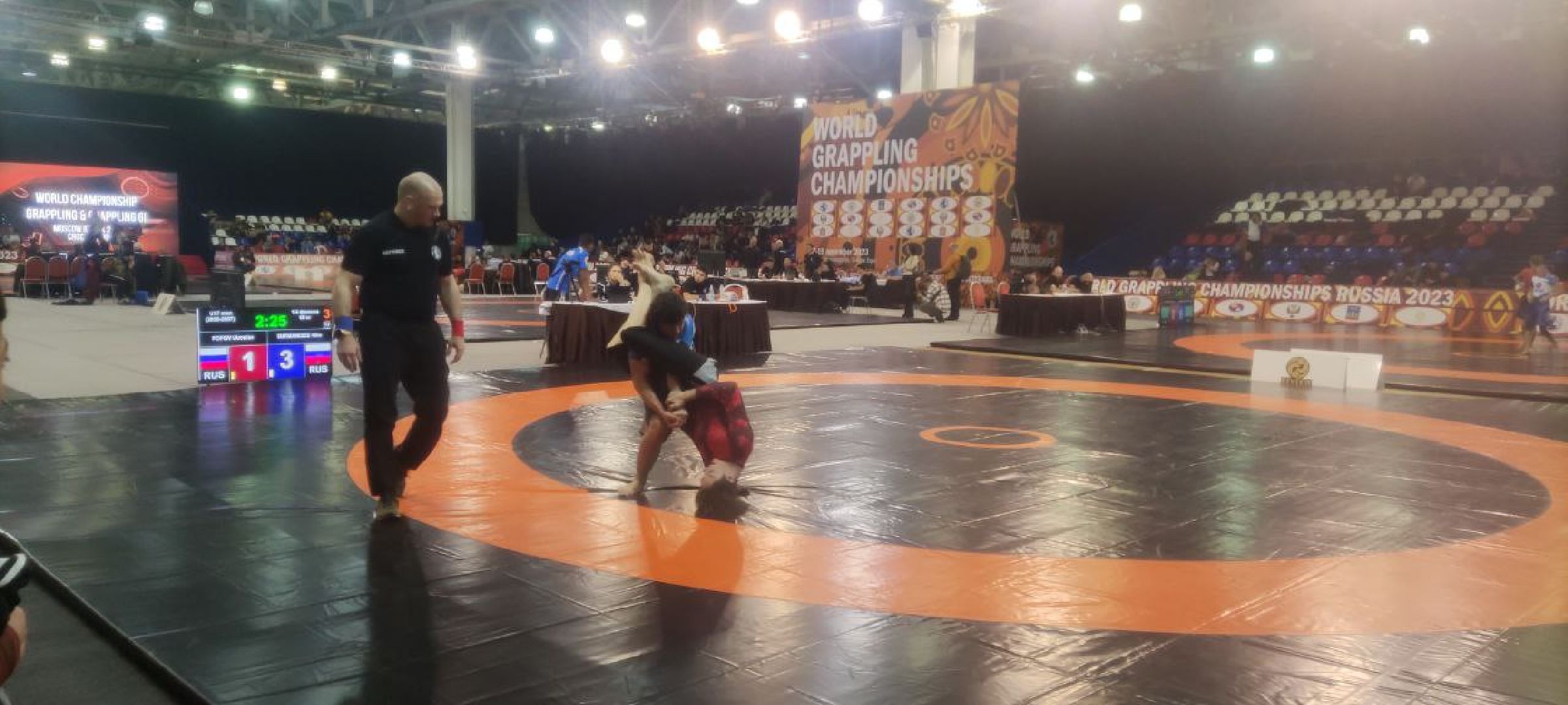 спорт, борьба, чемпионат мира, красногорск,