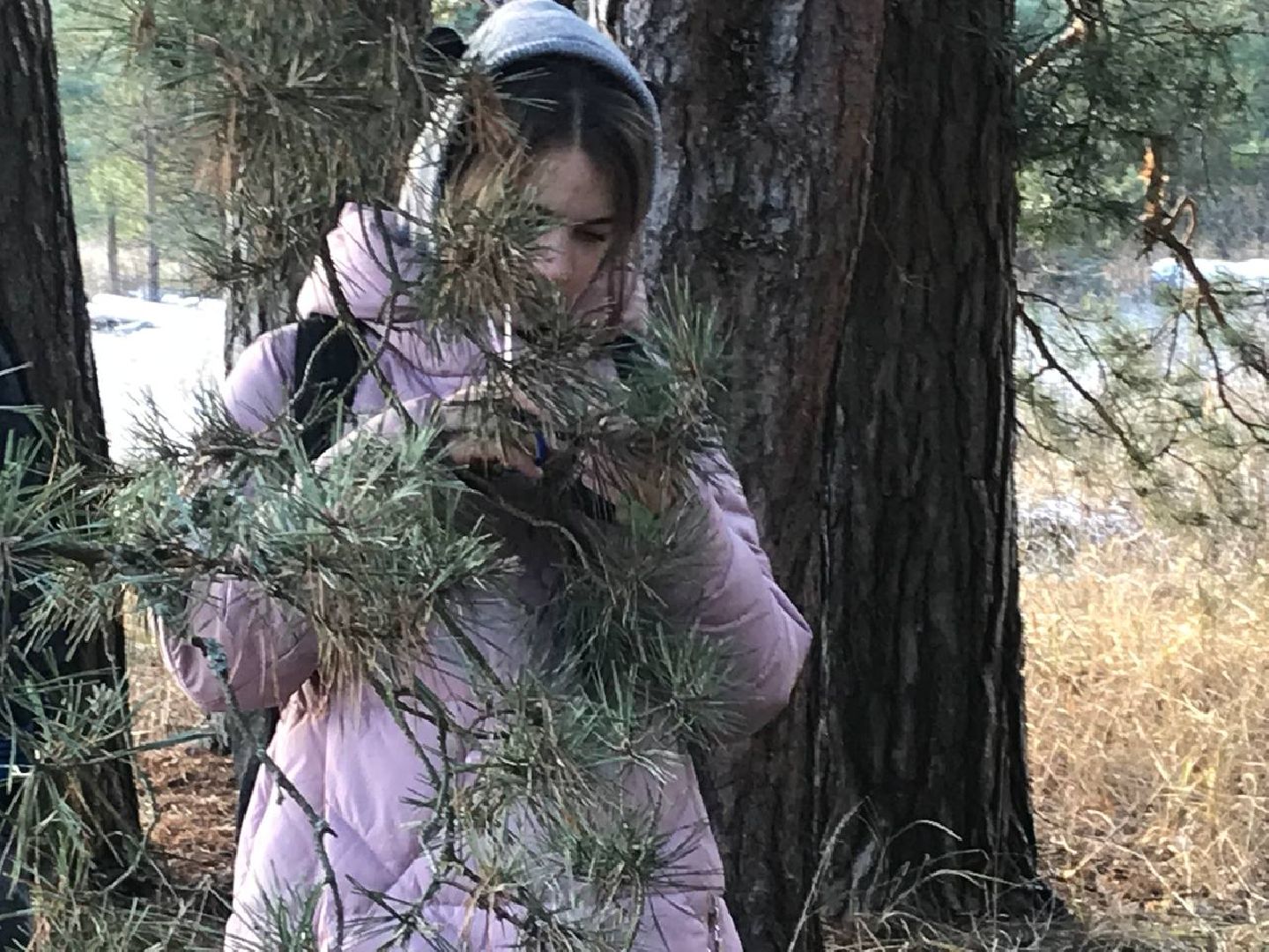 научная слобода, Ворово, Большая Шатура, наука, деевня,