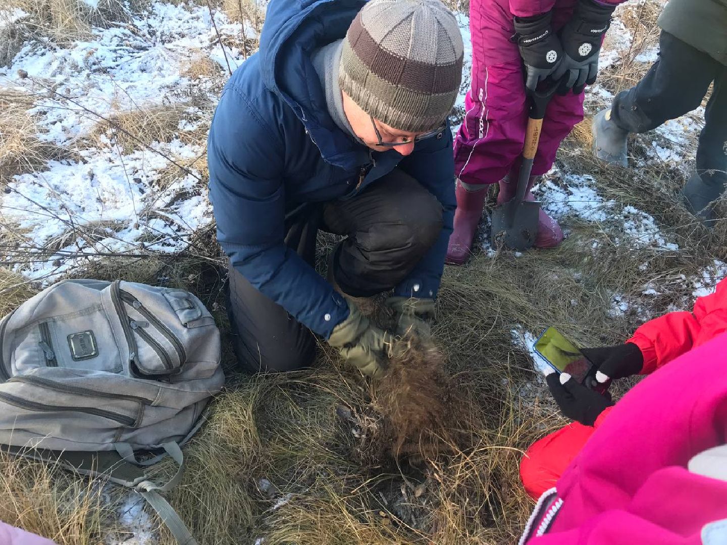 научная слобода, Ворово, Большая Шатура, наука, деевня,