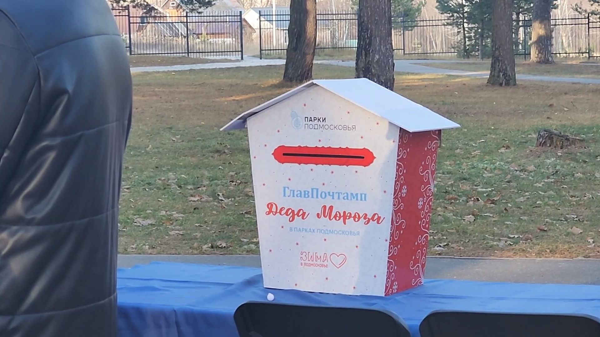 коломна, праздник, дед мороз