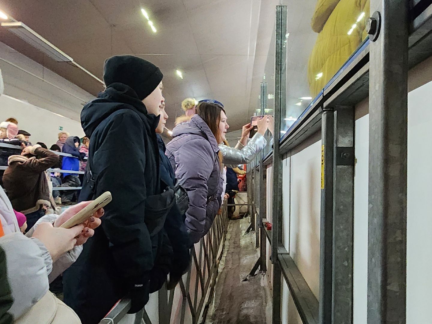 Спорт, Каток, Зимние виды спорта, хоккей, Фигурное катание, Дубна,