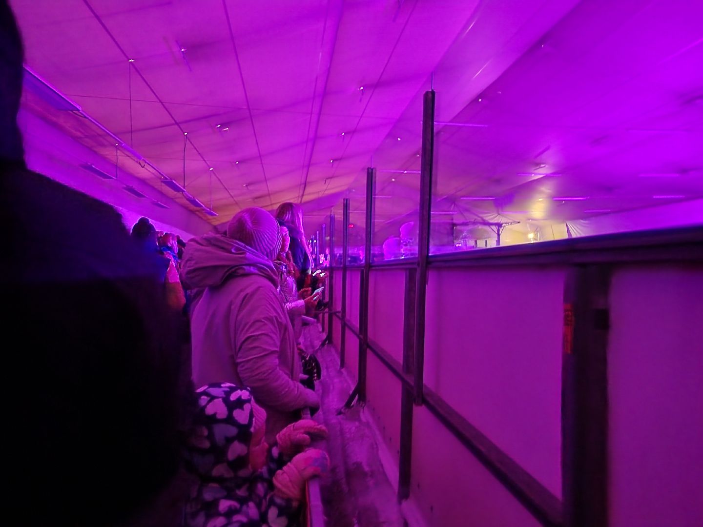 Спорт, Каток, Зимние виды спорта, хоккей, Фигурное катание, Дубна,