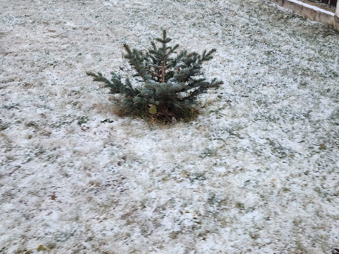 погода, снегопад,