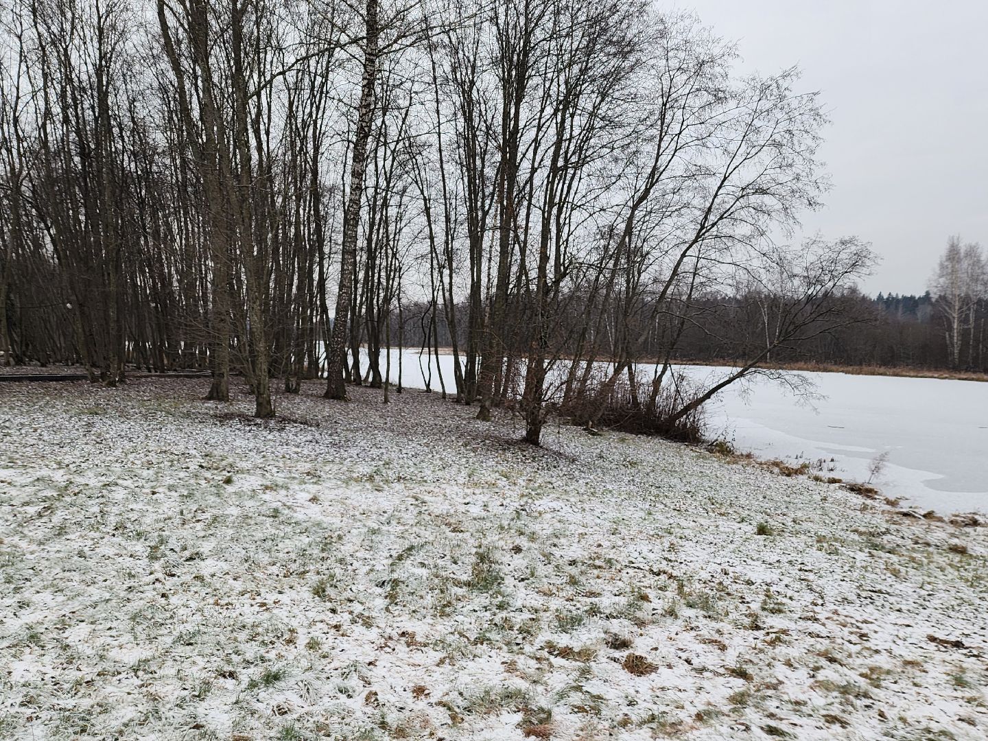 погода, снегопад,